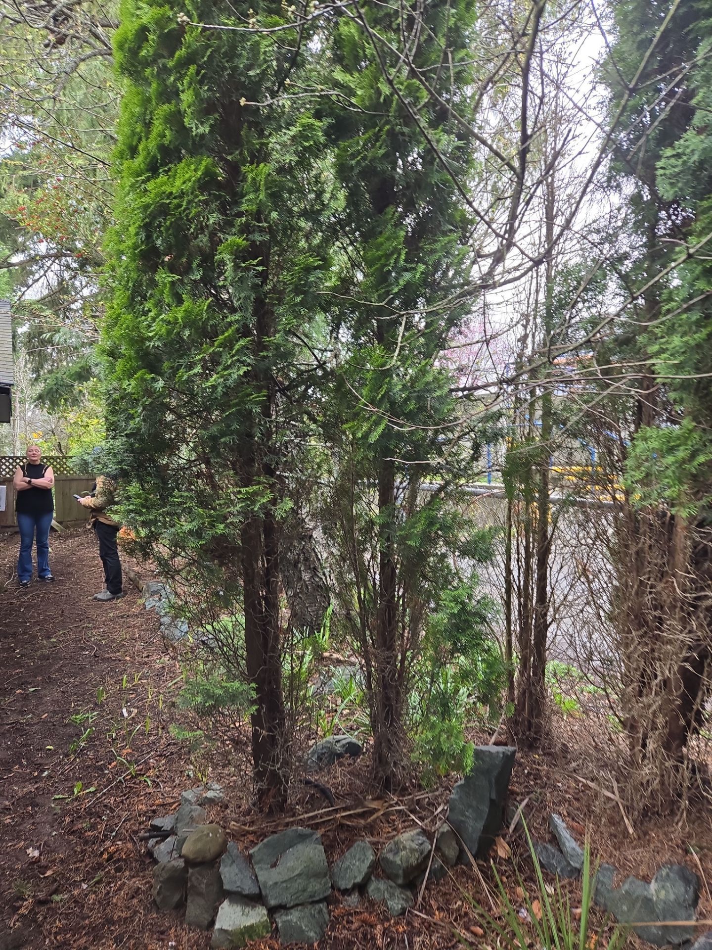 Complete backyard transformation by Habanero Garden and Exterior Care