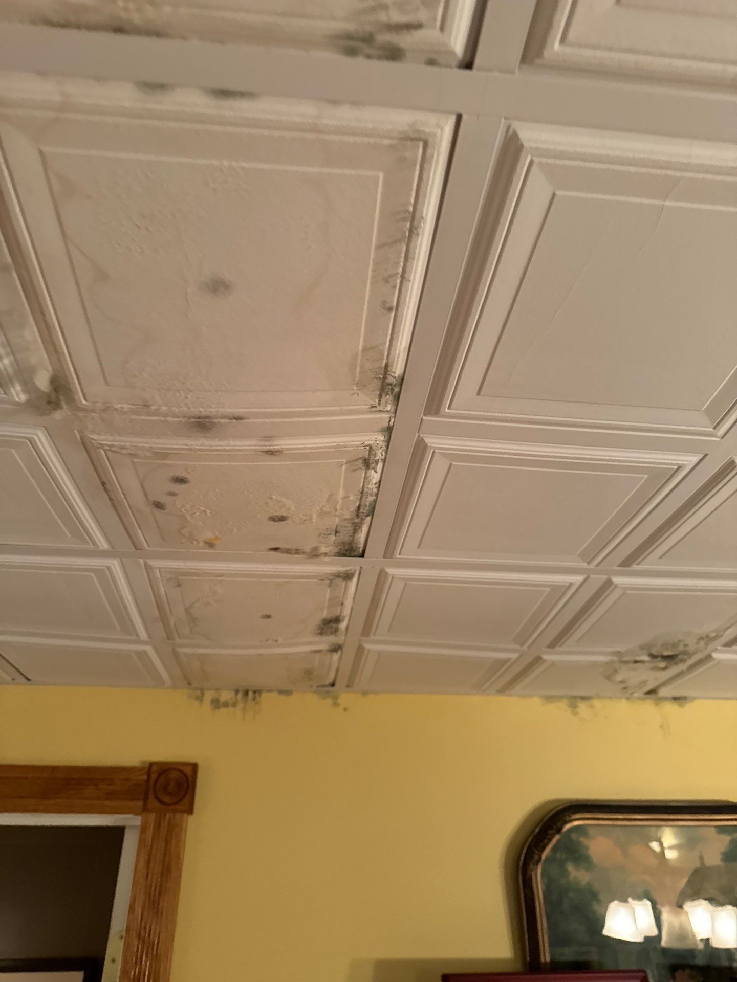 Project in Novi by EzDry Water Mitigation & Property Restoration