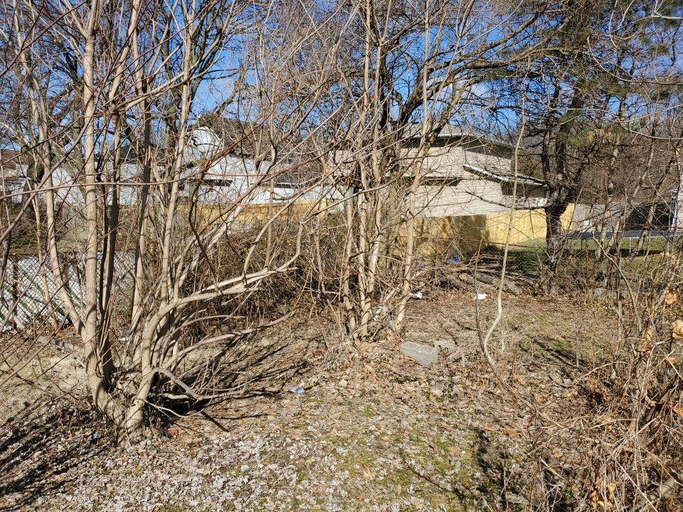 Tree Removal using Tree Removal by Mike Jones & Sons Tree Service LLC 