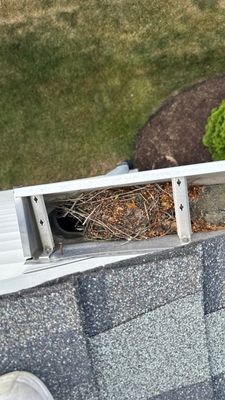 Turtle Shell gutter protection installation in Huntley, IL 60142, photograph 11
