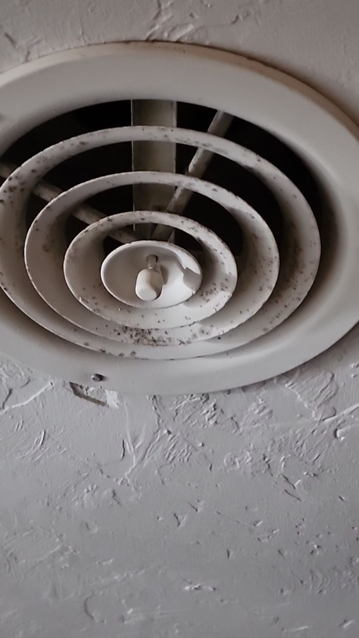 Mold testing by Building performance Solutions LLC