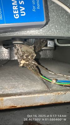 Air Duct Cleaning in Clermont