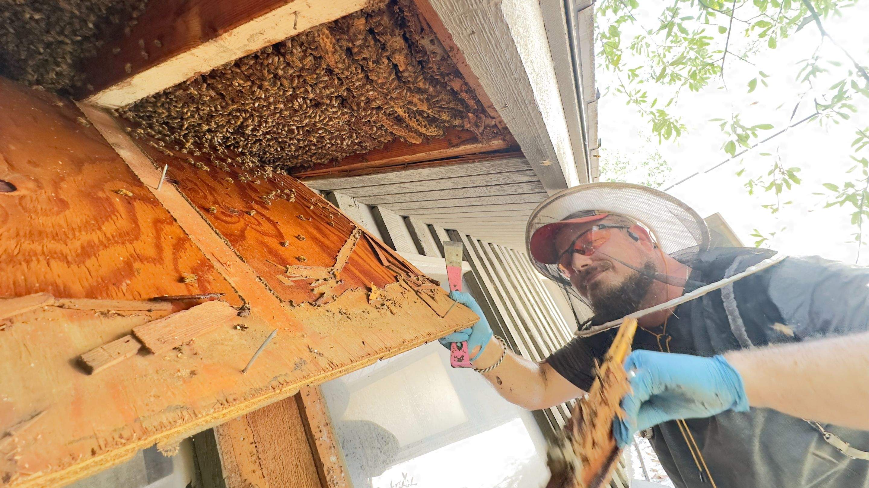 Old Faithful by Rockwall Honey Bee Company