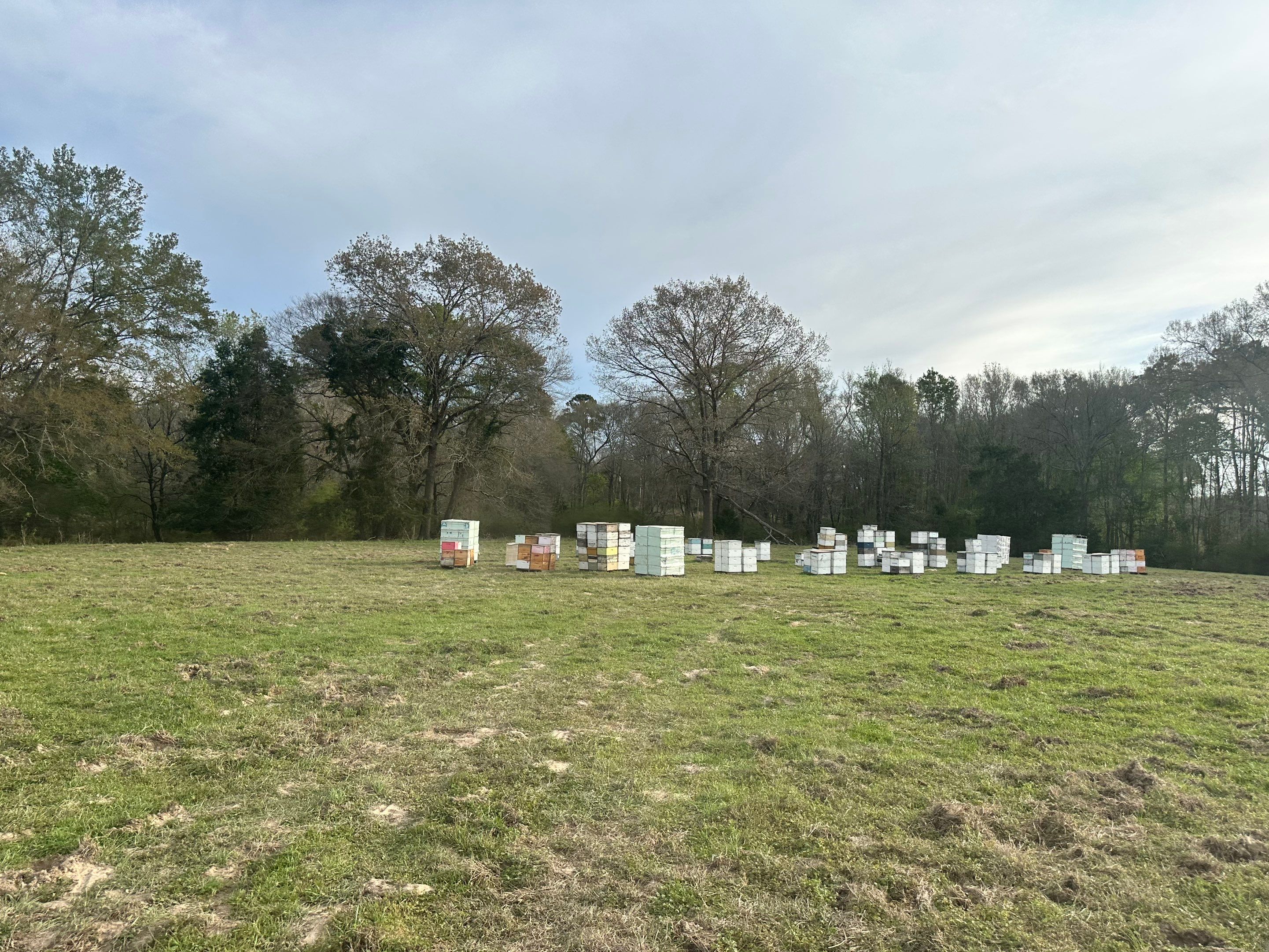 Dannelly Farm Apiary by Rockwall Honey Bee Company