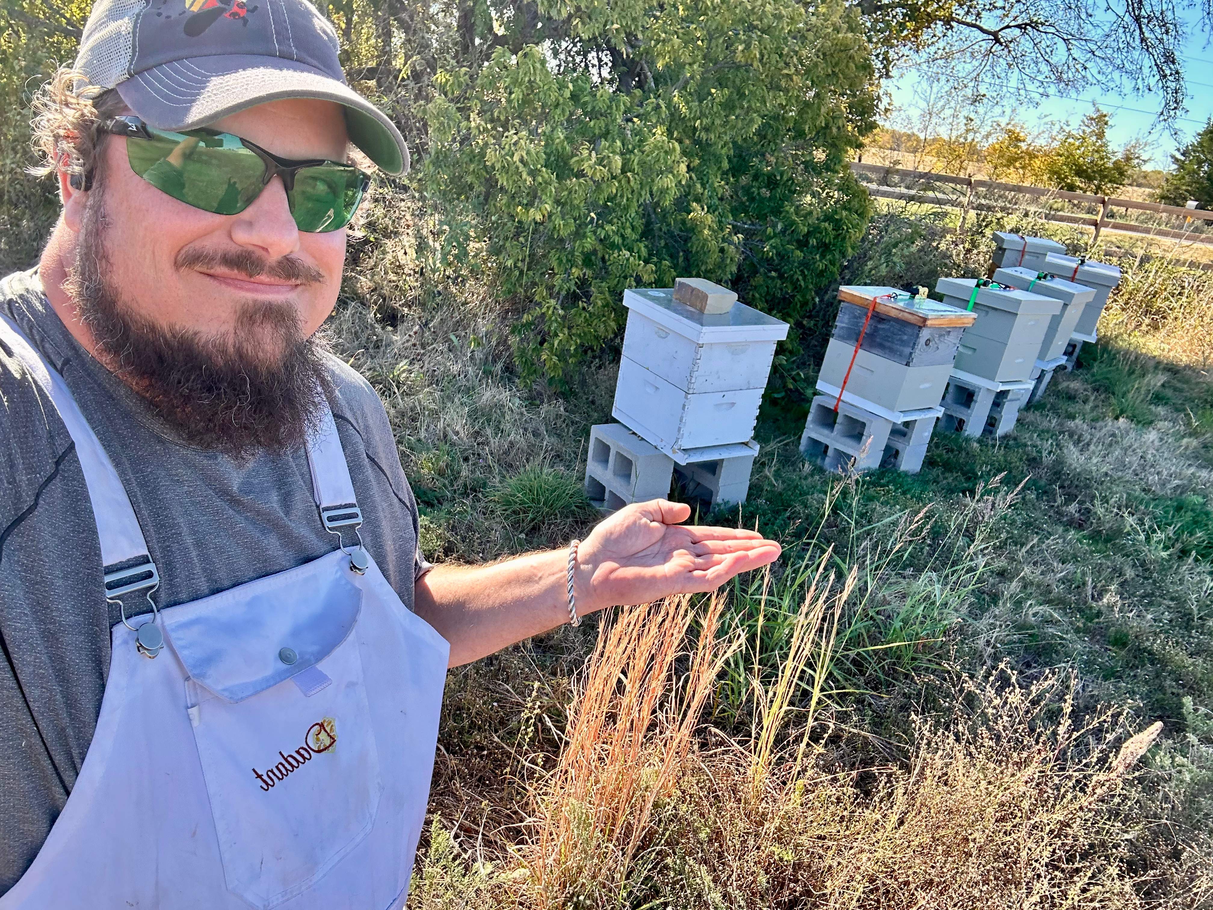 Honey-Maker Apiary in Greenville by Rockwall Honey Bee Company