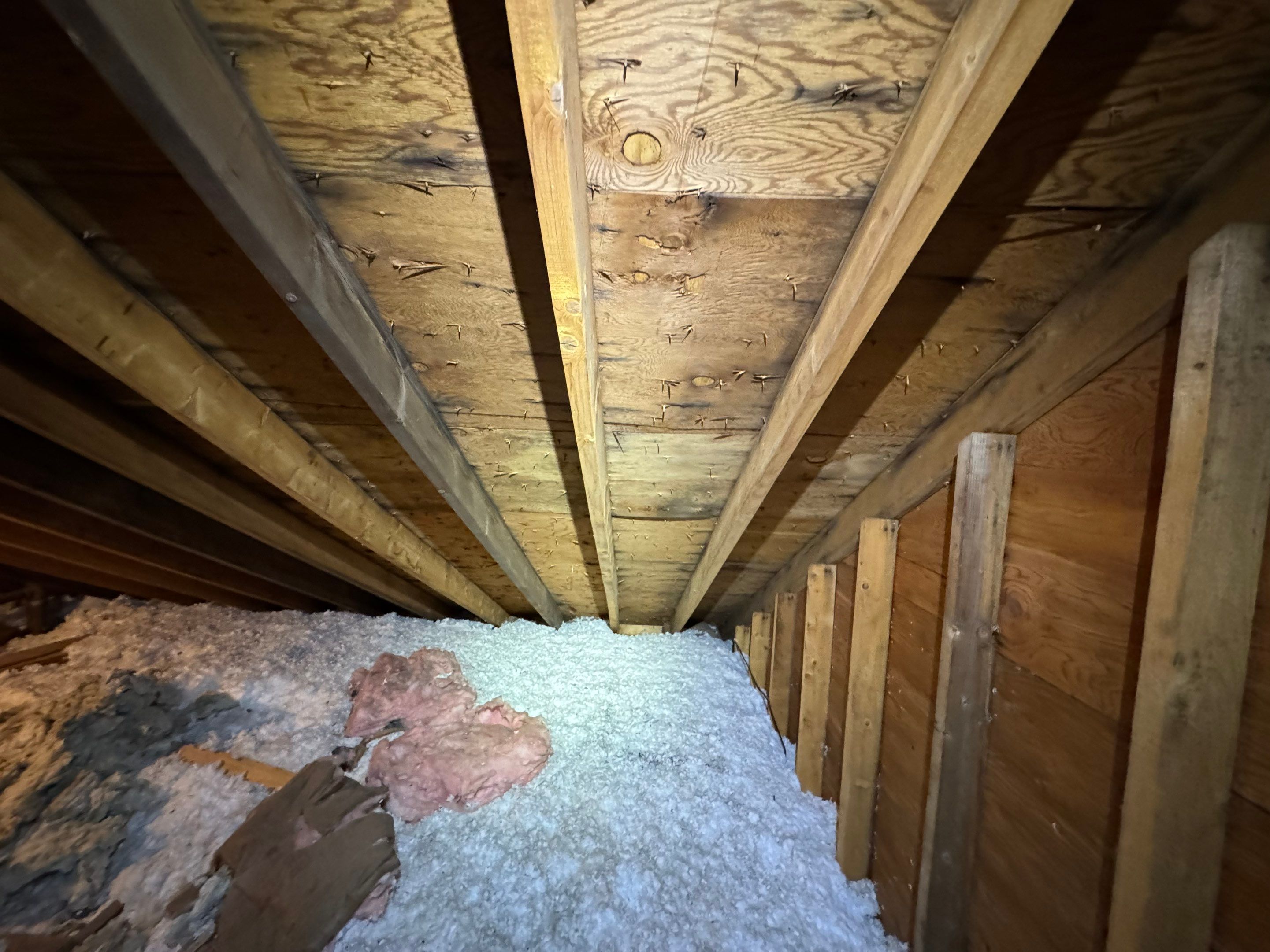 Attic Mold Remediation by Home Guarantee, LLC