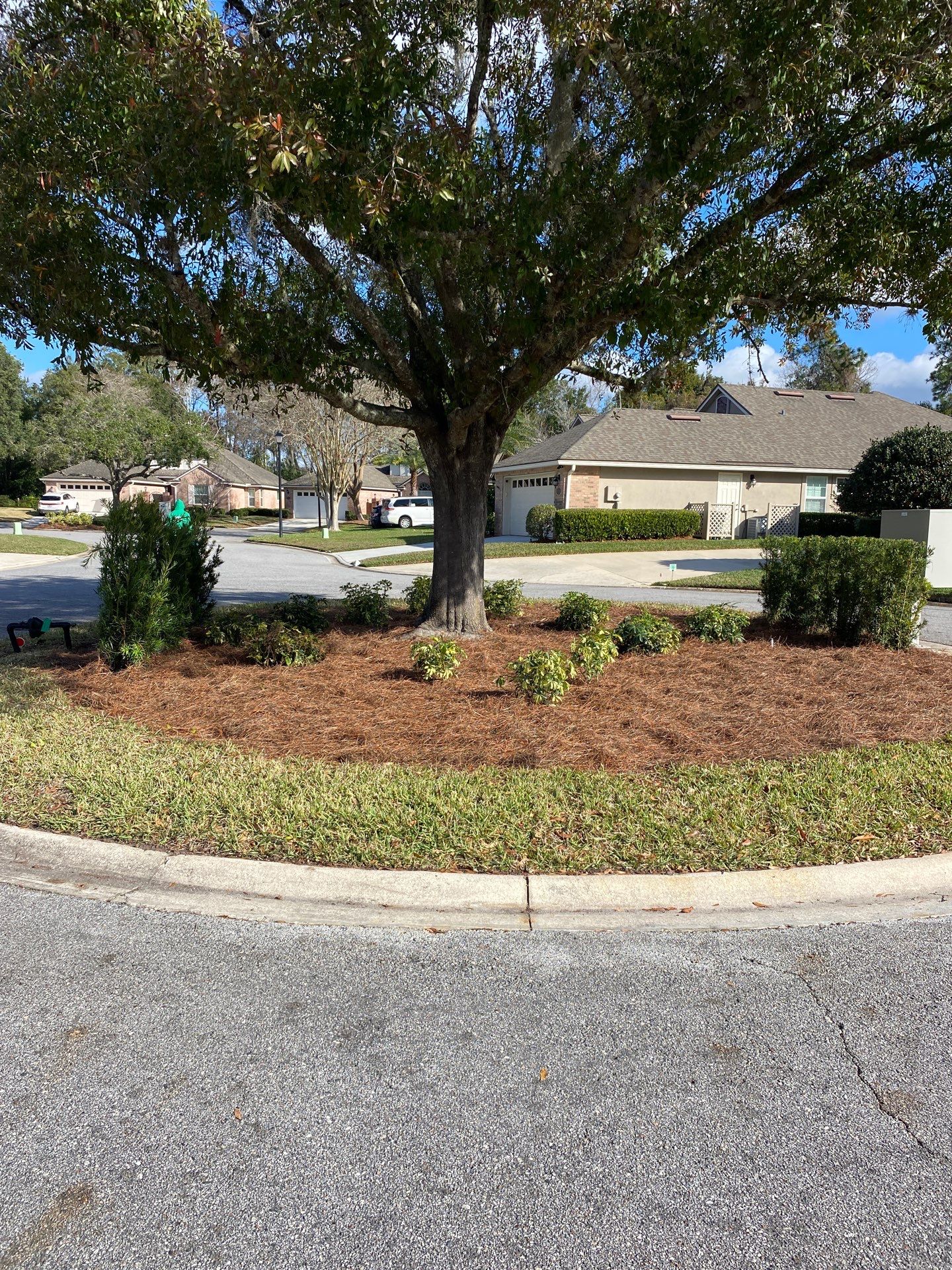 Deerwood Point | Island Refresh  by ProGreen Services
