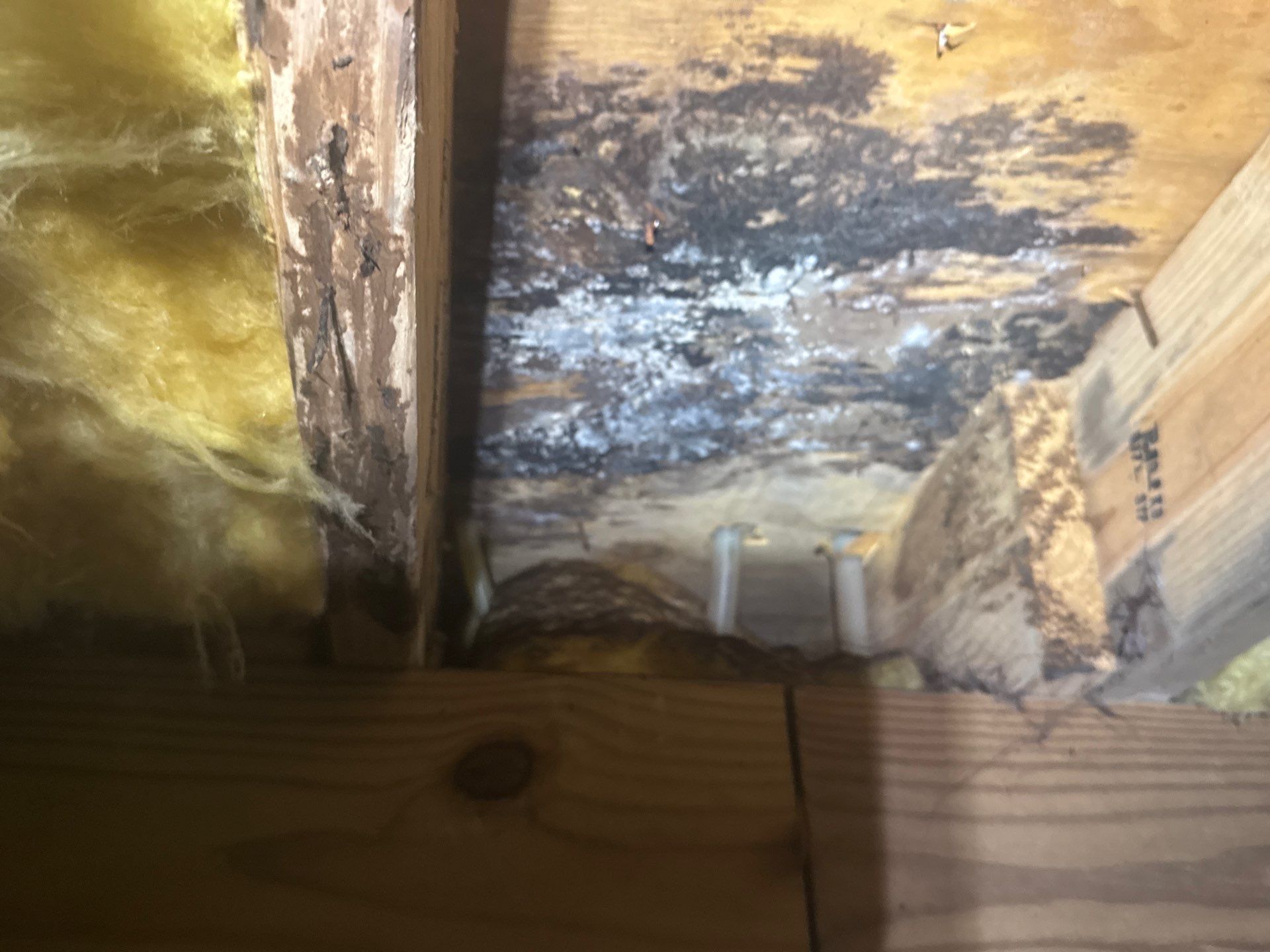 Project in Suffolk by Patriot Crawl Space Repairs