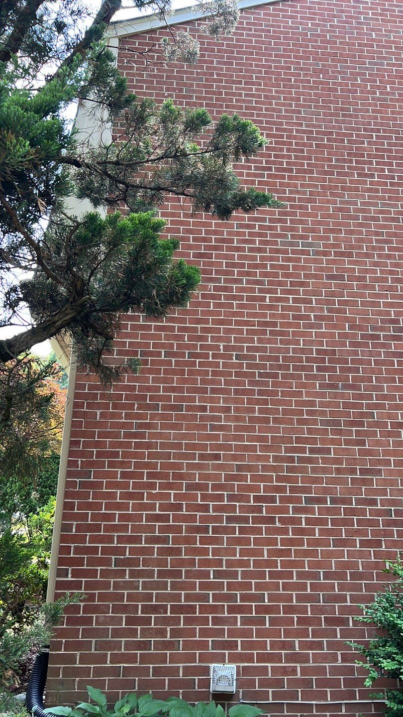 Reston: CertainTeed Landmark Pro Architectural Shingles in Max Def Moire Black by RM Banning, Inc.