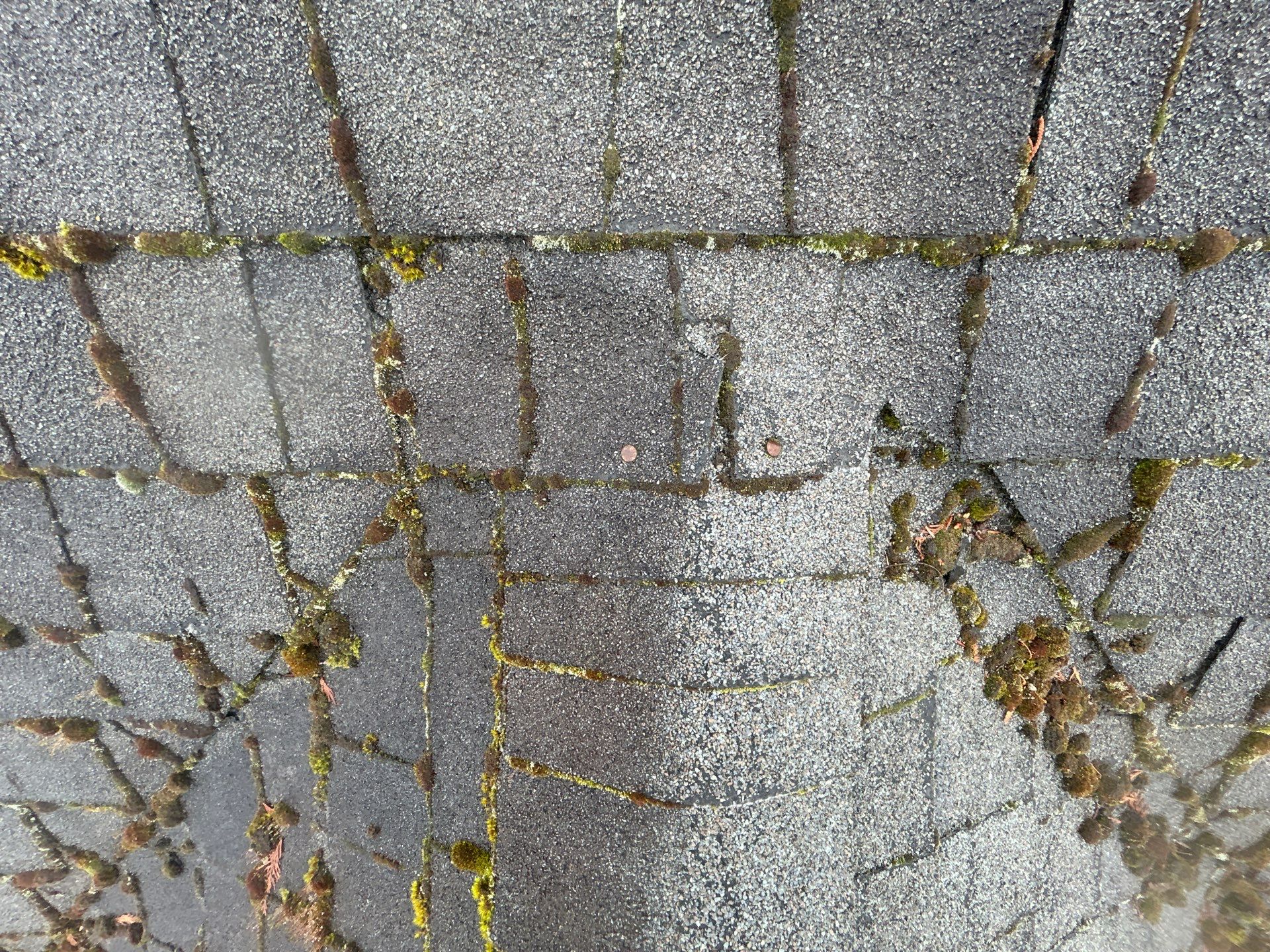 Project in Mill Creek by Connolly Construction Company