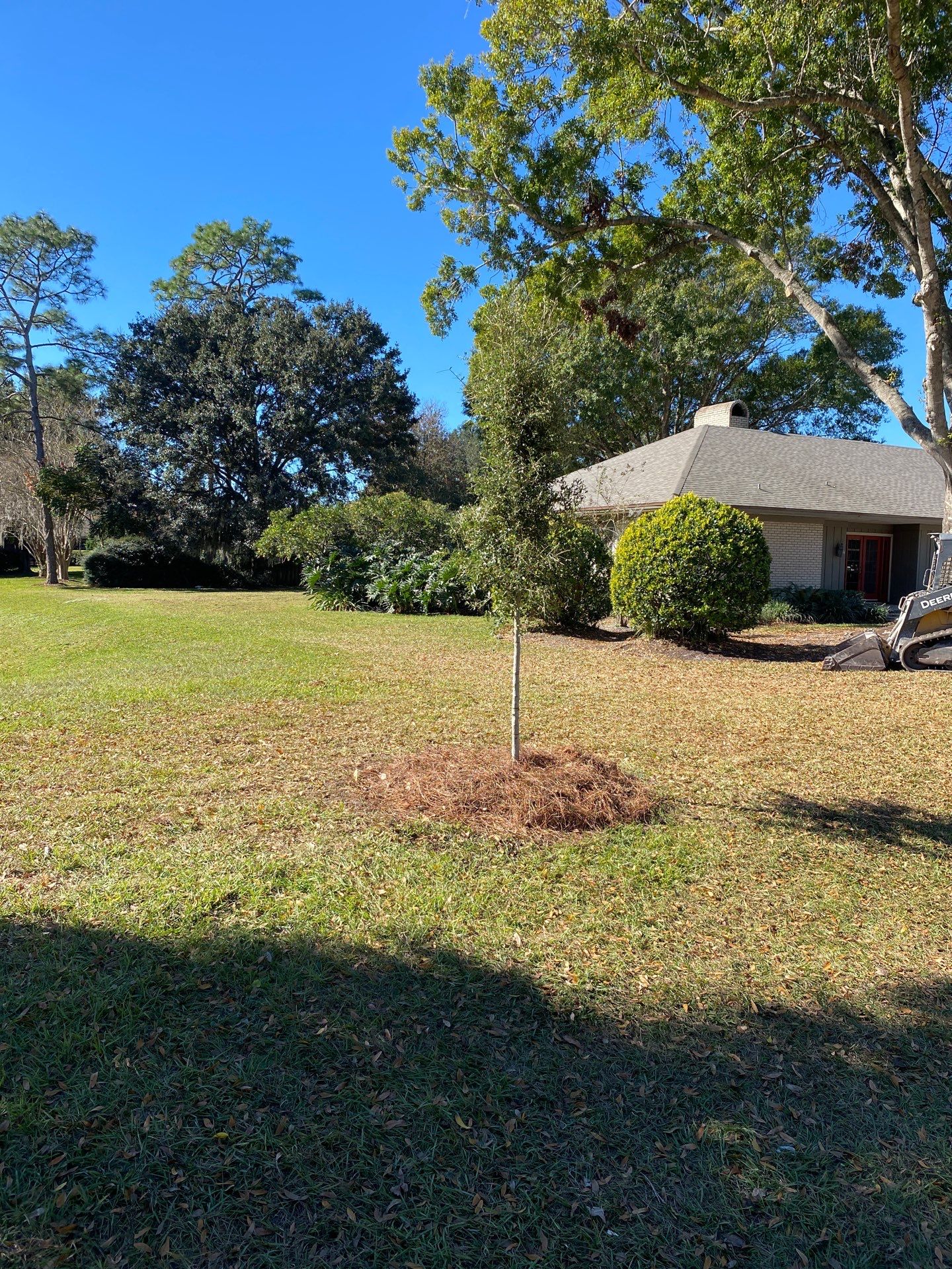 Deerwood Community | Oak Tree Replacement Project by ProGreen Services