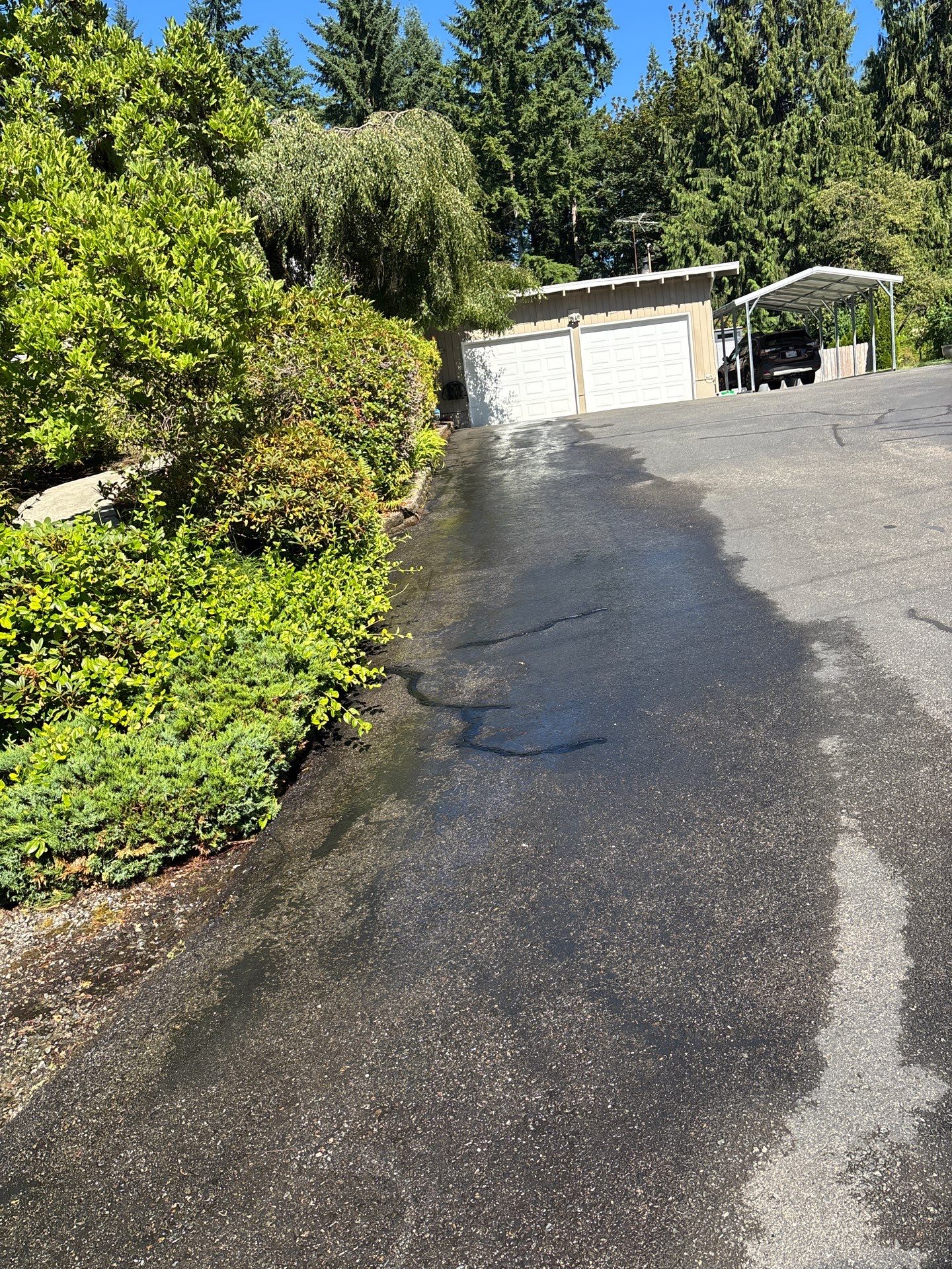 Driveway Sealcoat Repair | Woodinville  by Jireh Asphalt & Concrete Inc 