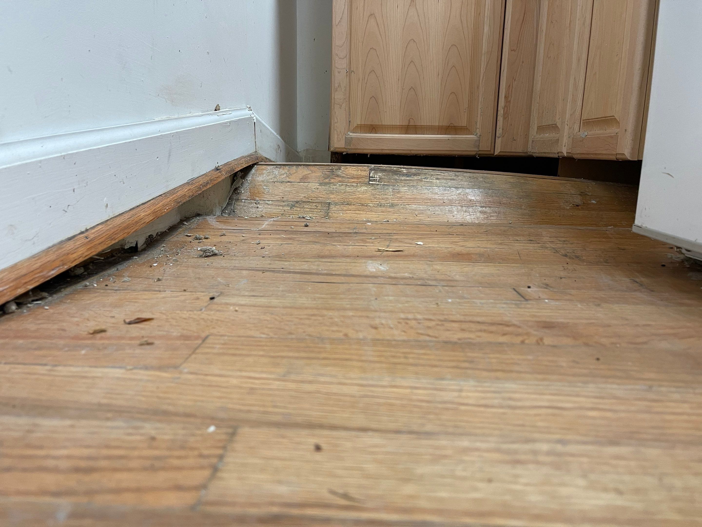 Russet Woods Basement Remodel by Pillar and Pine