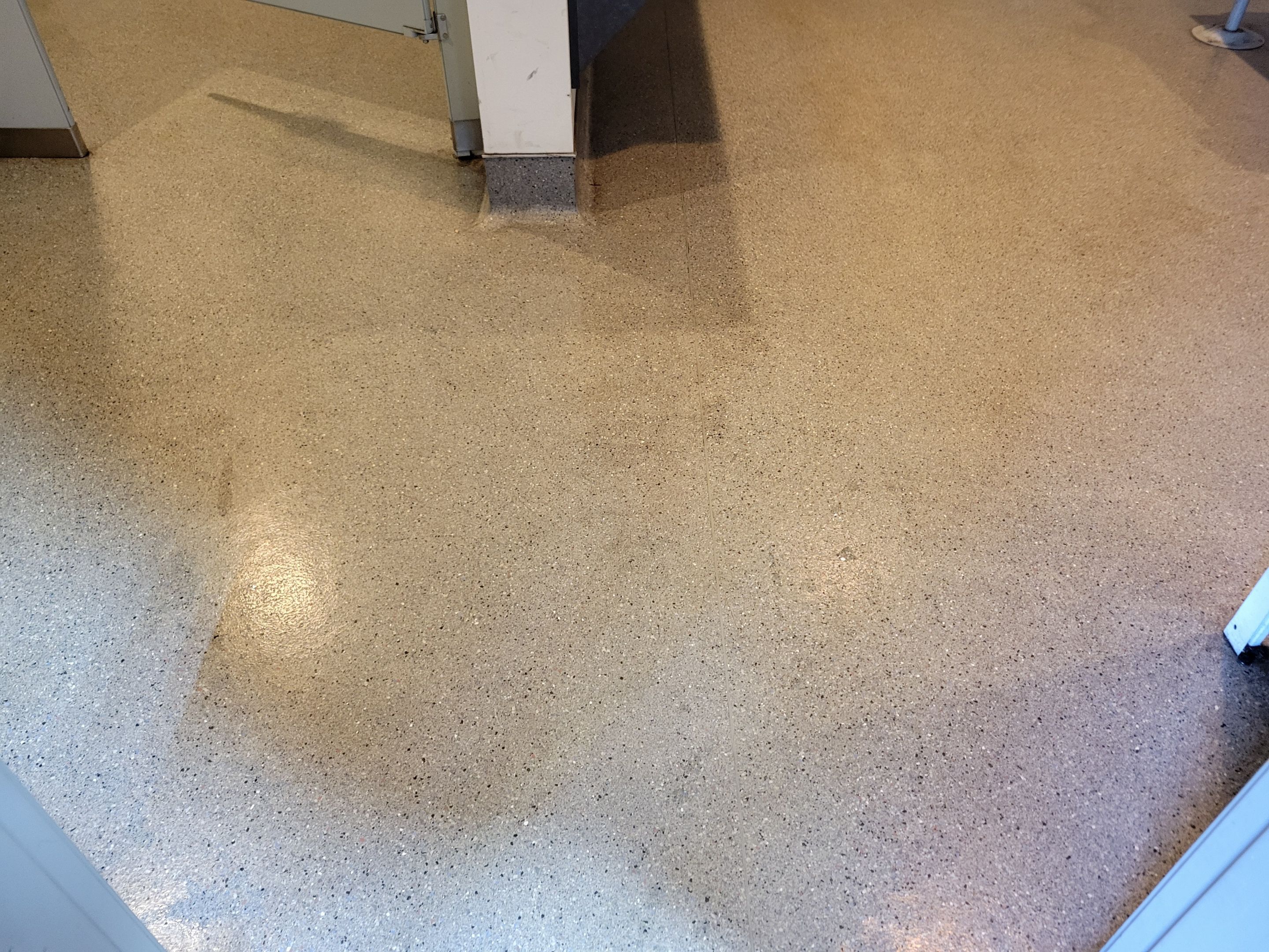 Quarterly, Commercial Carpet Cleaning by Ardent Carpet Restore LLC