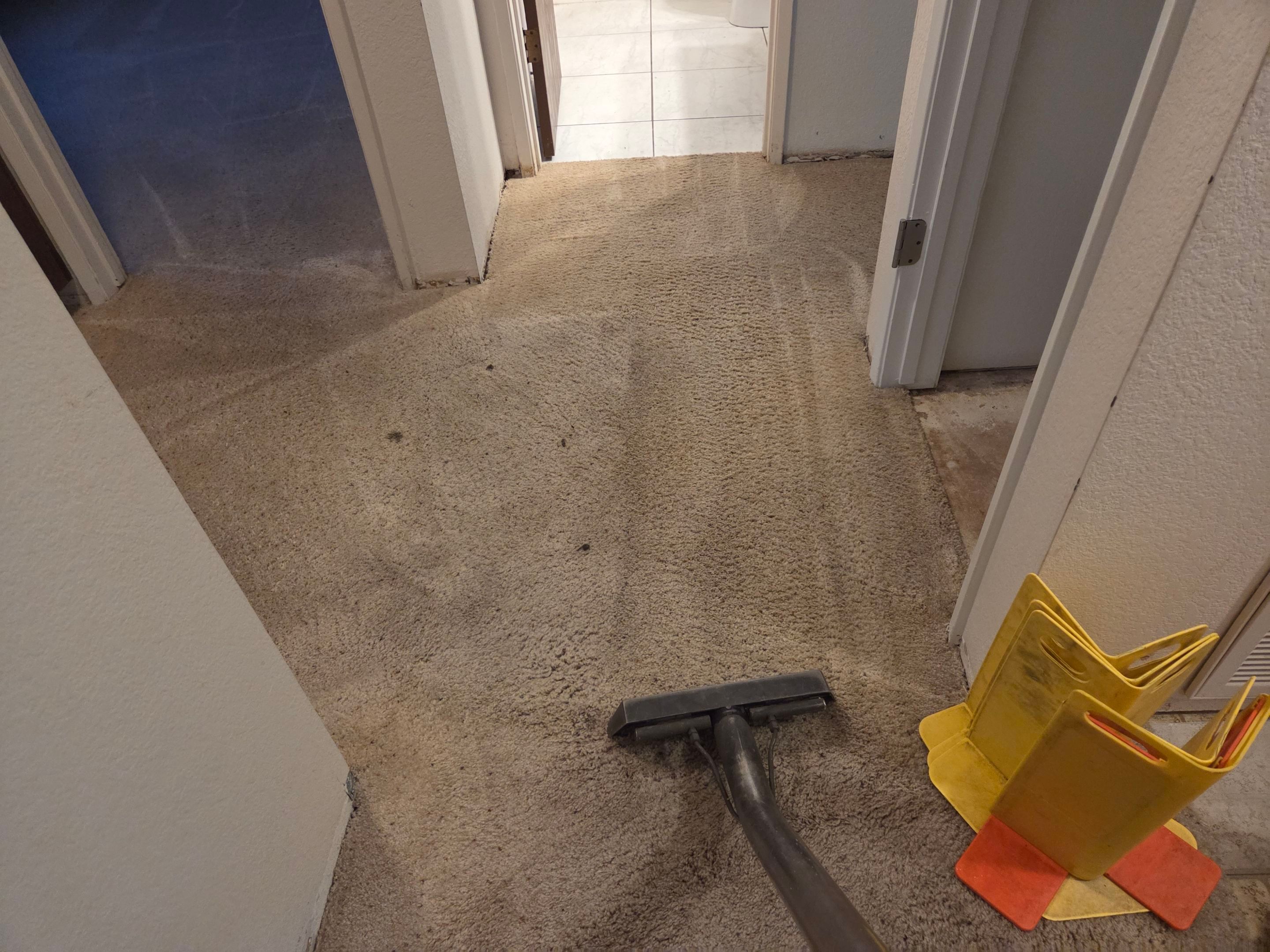 Carpet Re-stretching & Cleaning in Rosemont by Ardent Carpet Restore LLC
