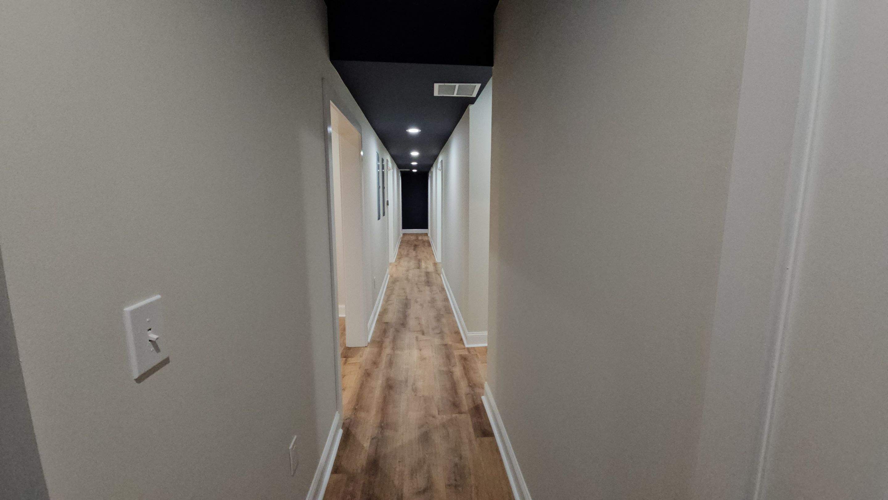 Palmetto Basement by Ajayi Design and Construction 