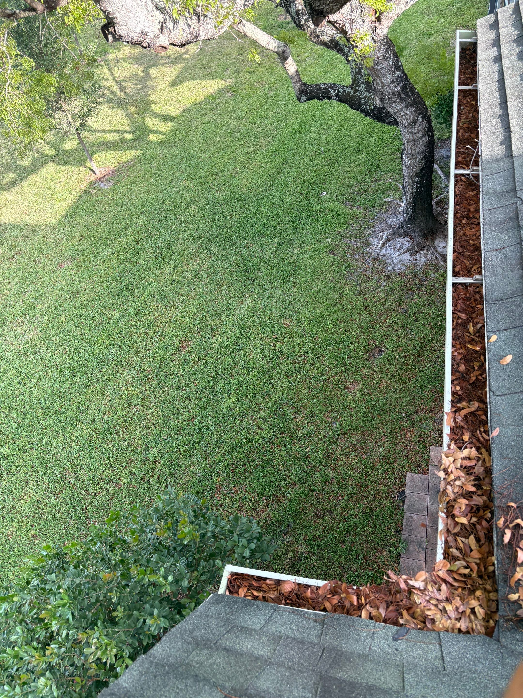 Commercial gutter cleaning Coral Springs & Pompano Beach, FL before photo with filled gutters
