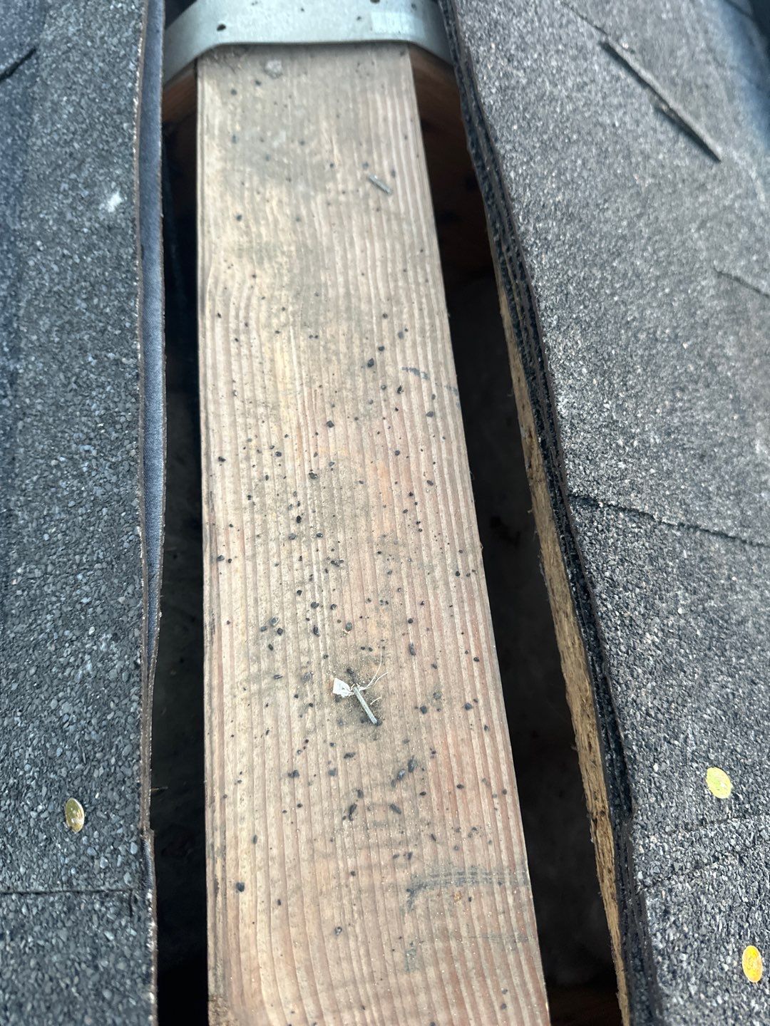 Roof Repair Houston by Roof Repair Services LLC