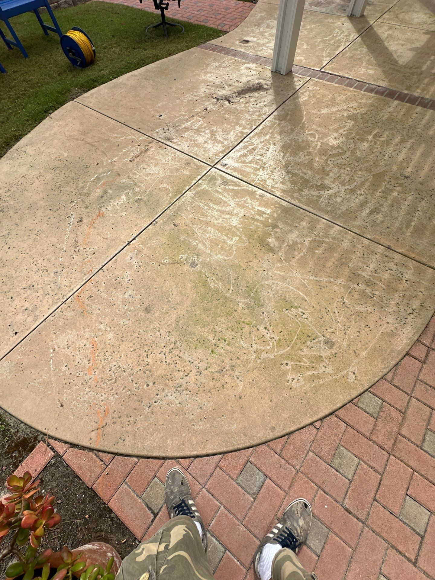 House Washing, Concrete Cleaning, and Window Washing with a Side of Gutters by Property Cleaning Experts, LLC