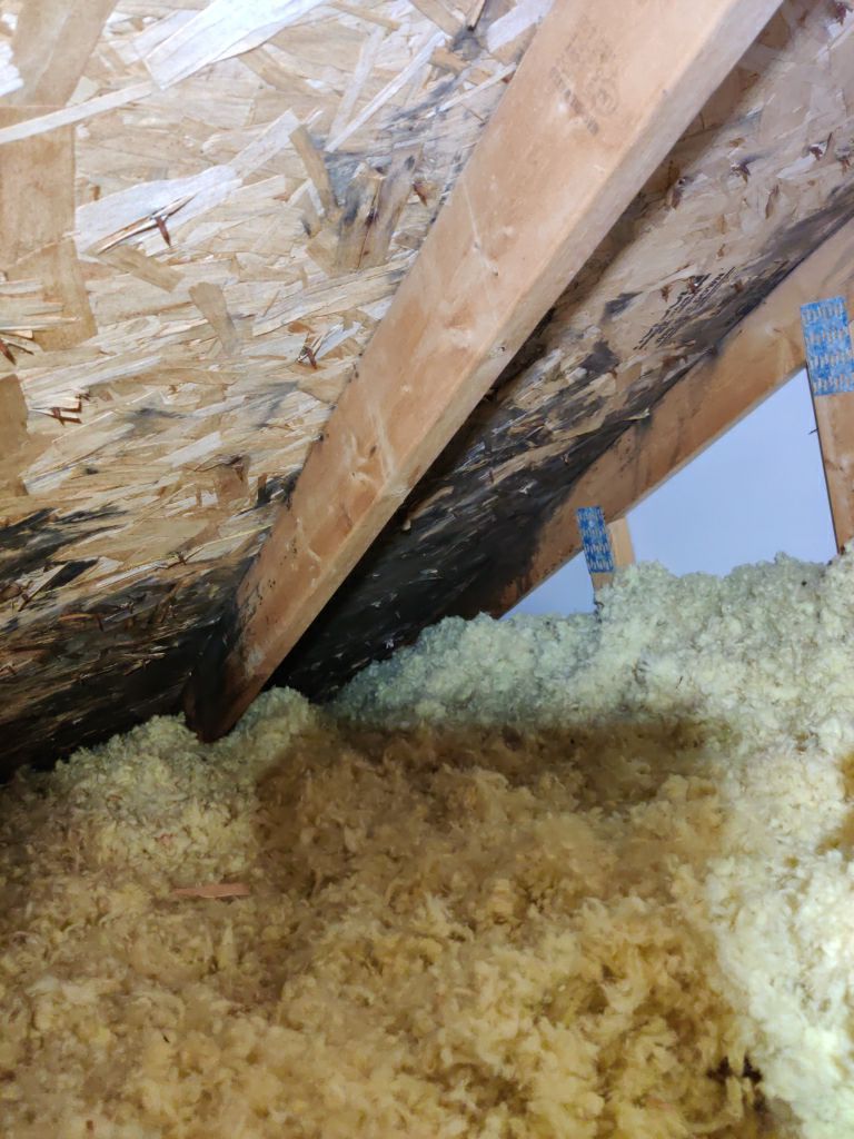 Mold Remediation Cleanup in Attic by Accountable Home Services
