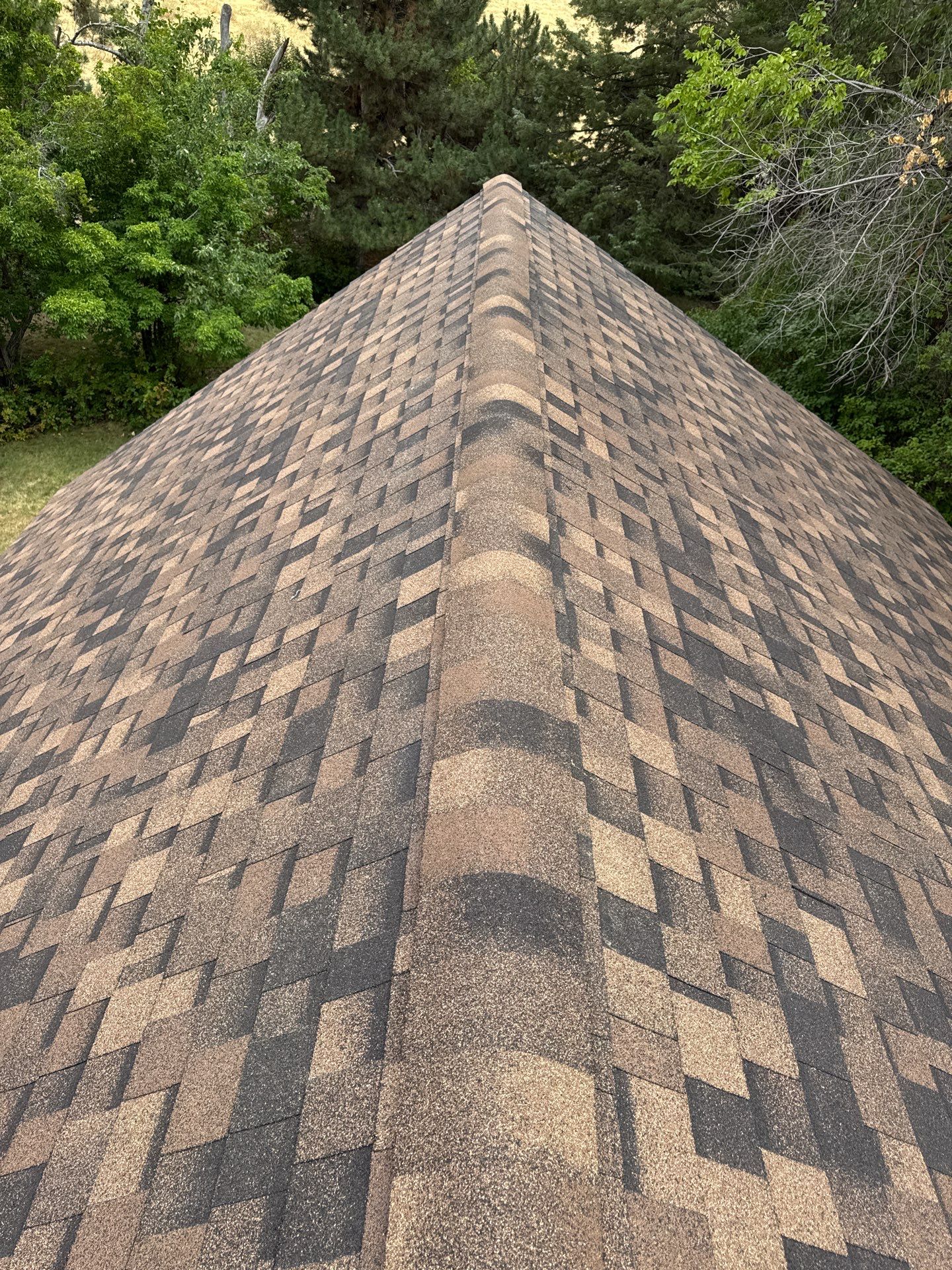 Architectural Shingle Roof Replacement for Boise Log Cabin Home by Olive Roofing