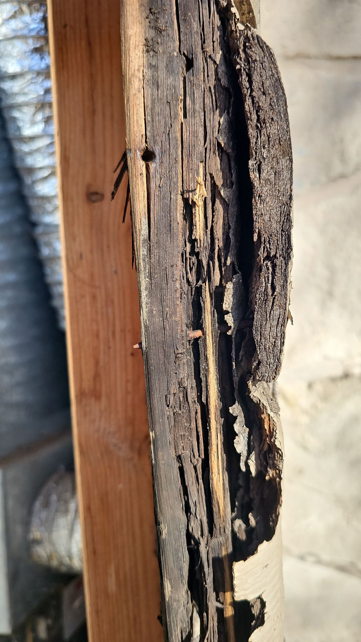 Residential Roof Replacement using GAF - HDZ - Charcoal by Action Exteriors Austin