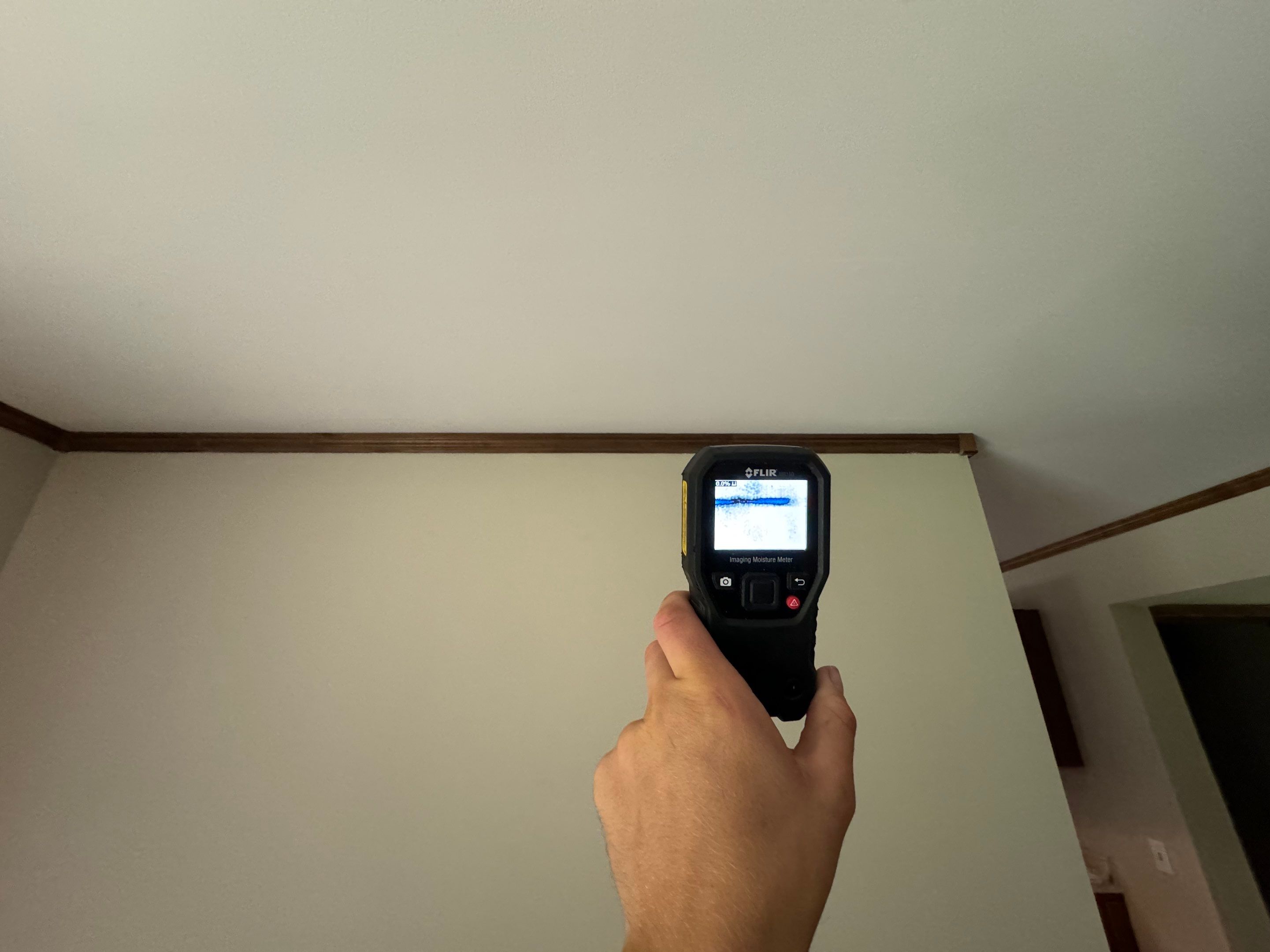 Basement & Livingroom Remediation by Home Guarantee, LLC