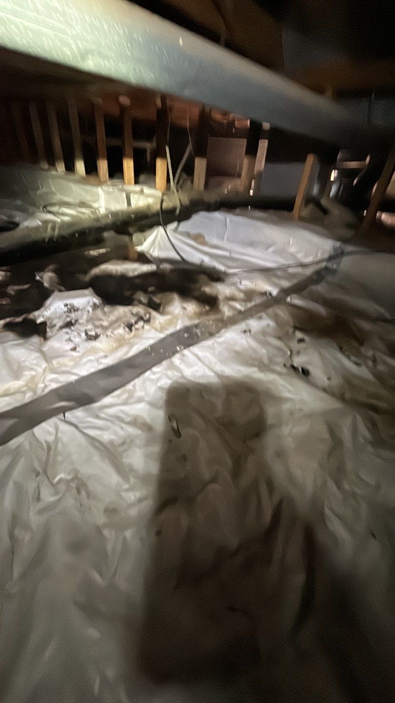 Sewage Backup by Accountable Home Services