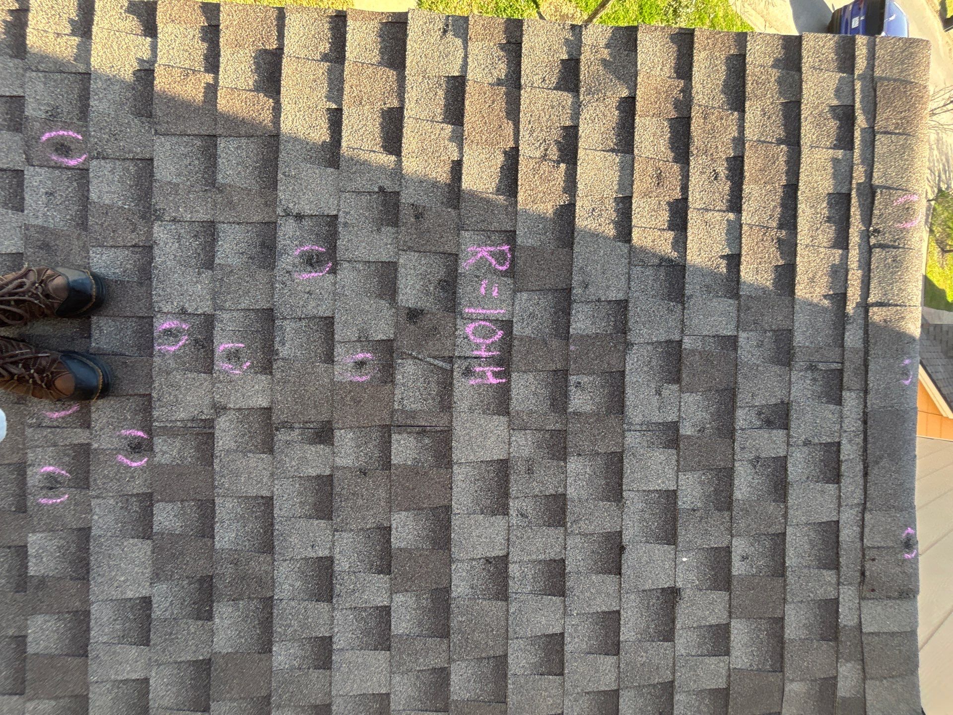 DAN L by Boss Hogg Roofing