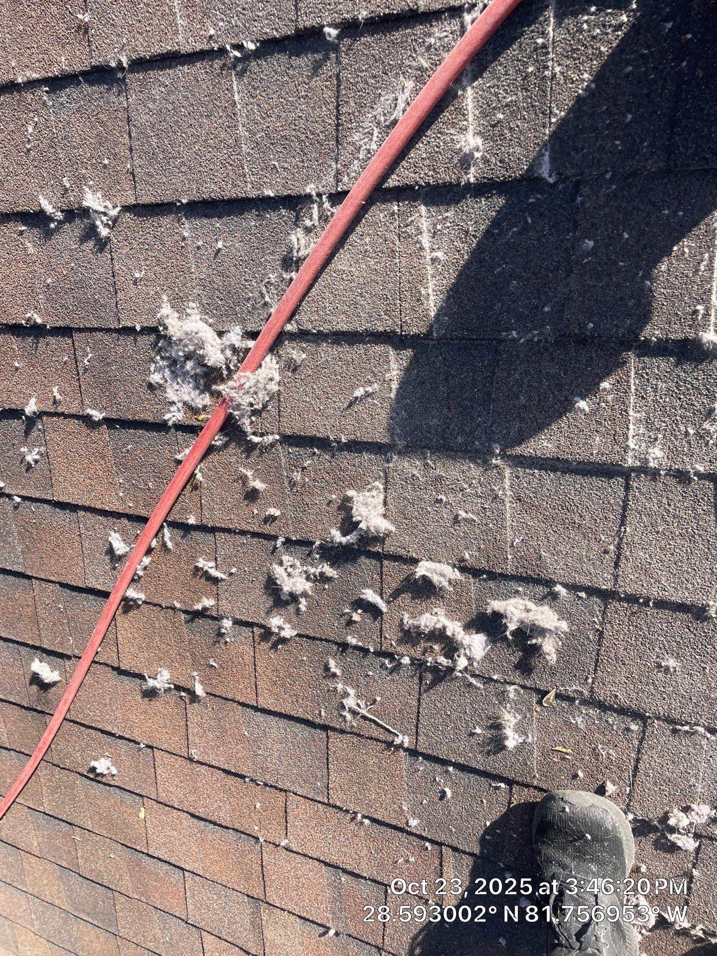 Dryer Vent Cleaning in Minneola by Hygienic Air, Inc
