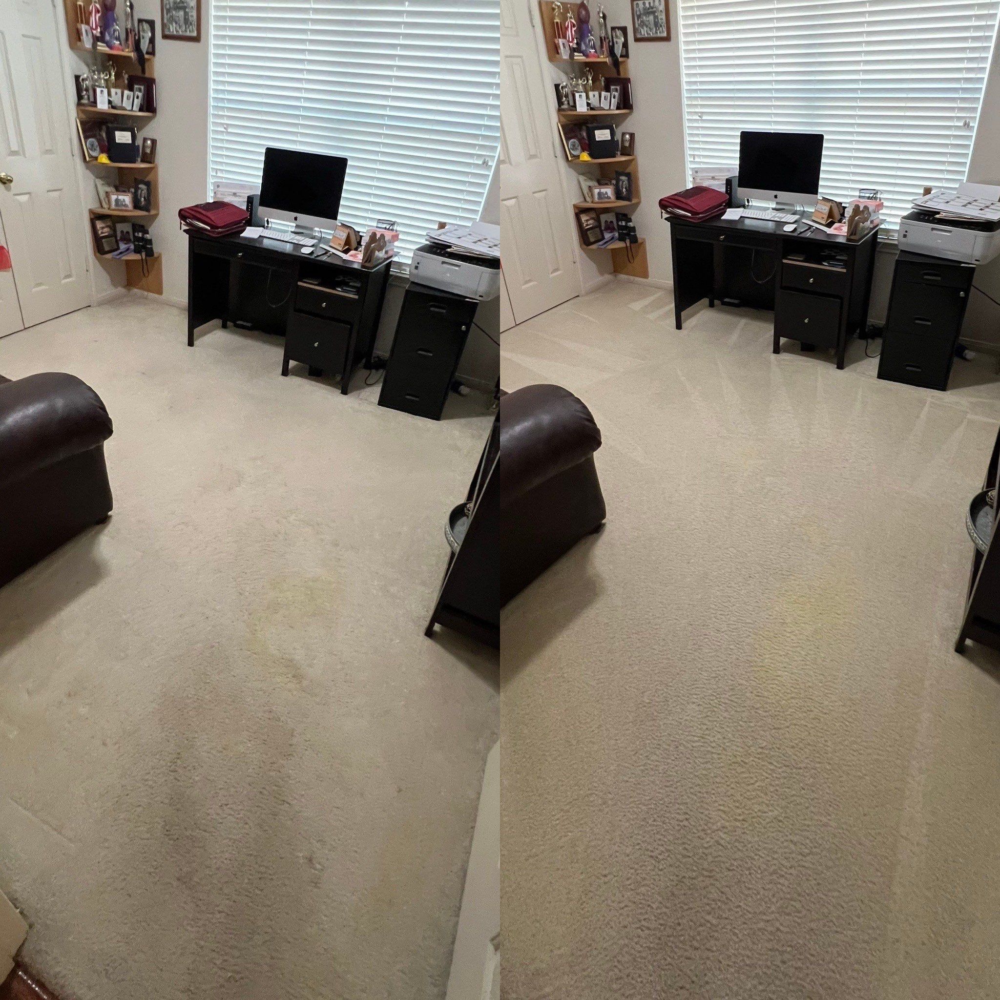 carpet in an office is being professionally cleaned showing significant improvement before and after the service