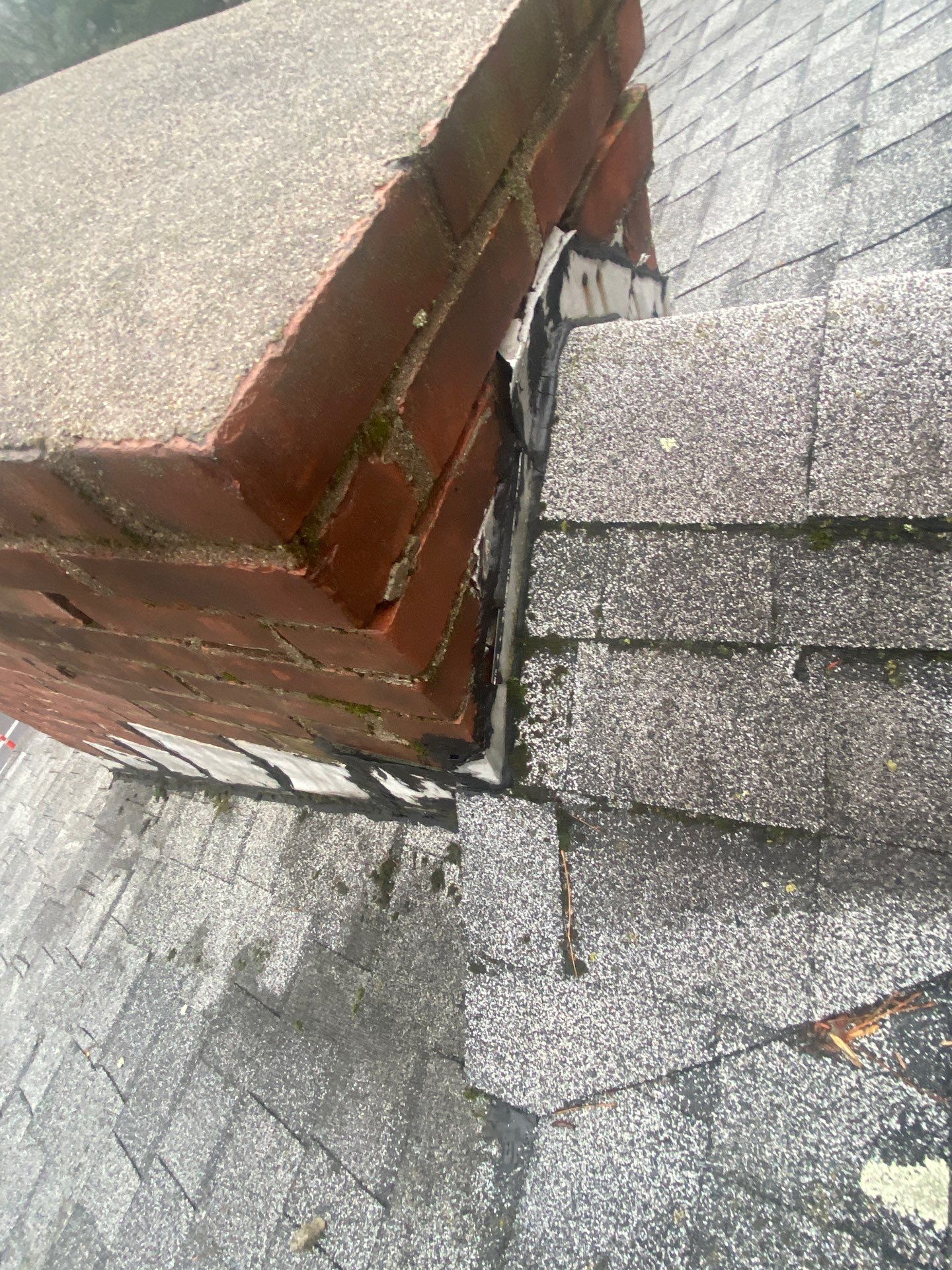 roof  by D Pacific Restoration LLC