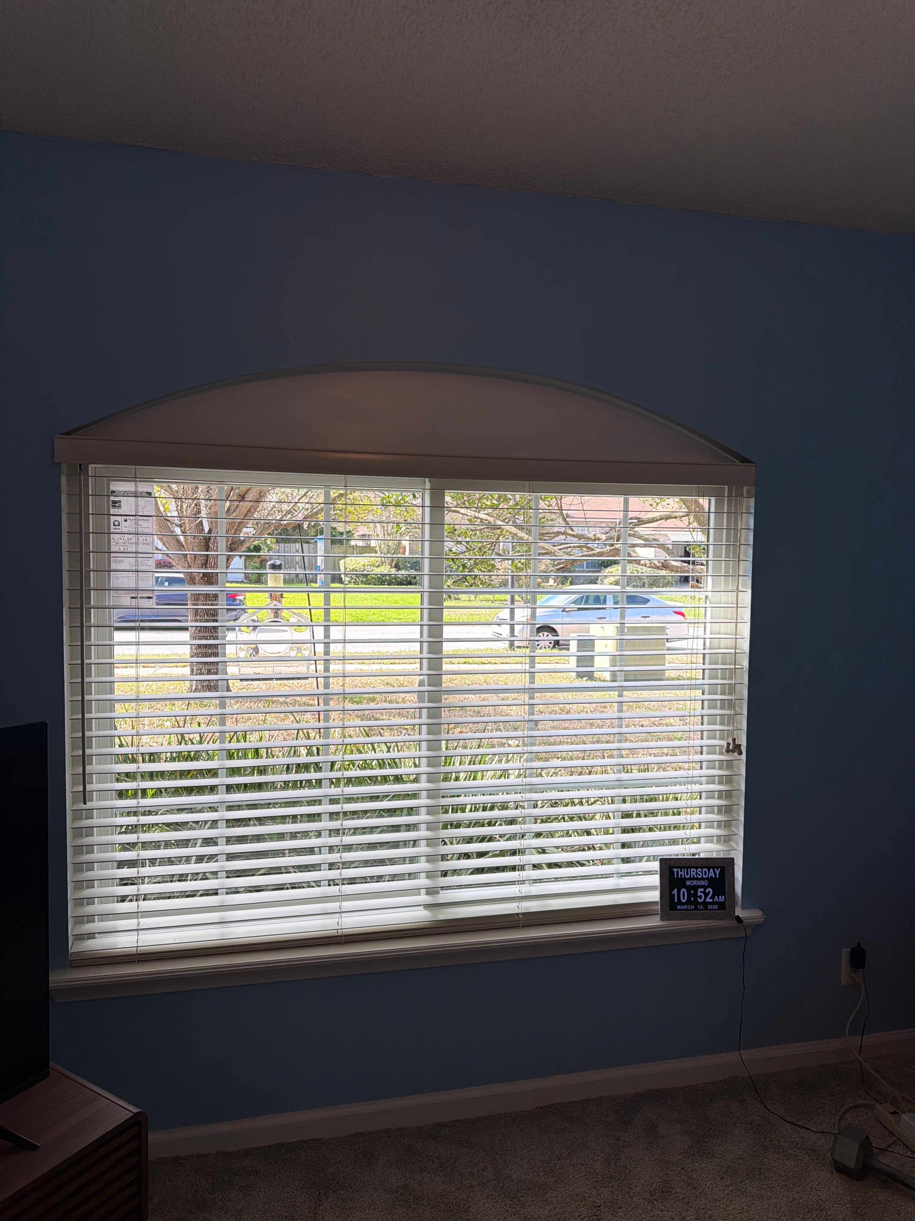 Full Home Andersen Window Replacement for Jacksonville Residence by Windows & Doors Store