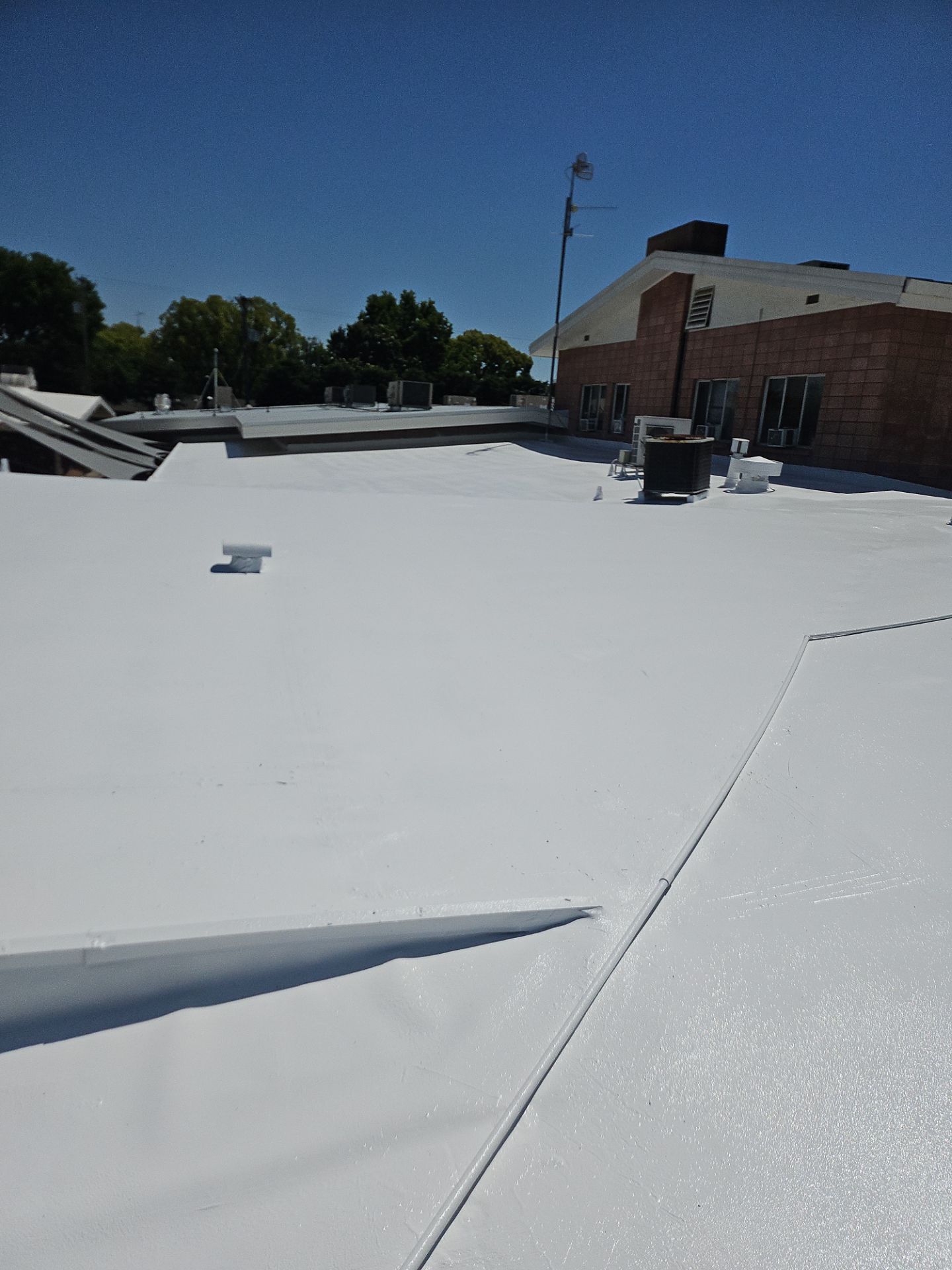 Single-ply restoration system using Benchmark/PUMA XL coatings over TPO single-ply roofing by Straight Edge Roofing Inc
