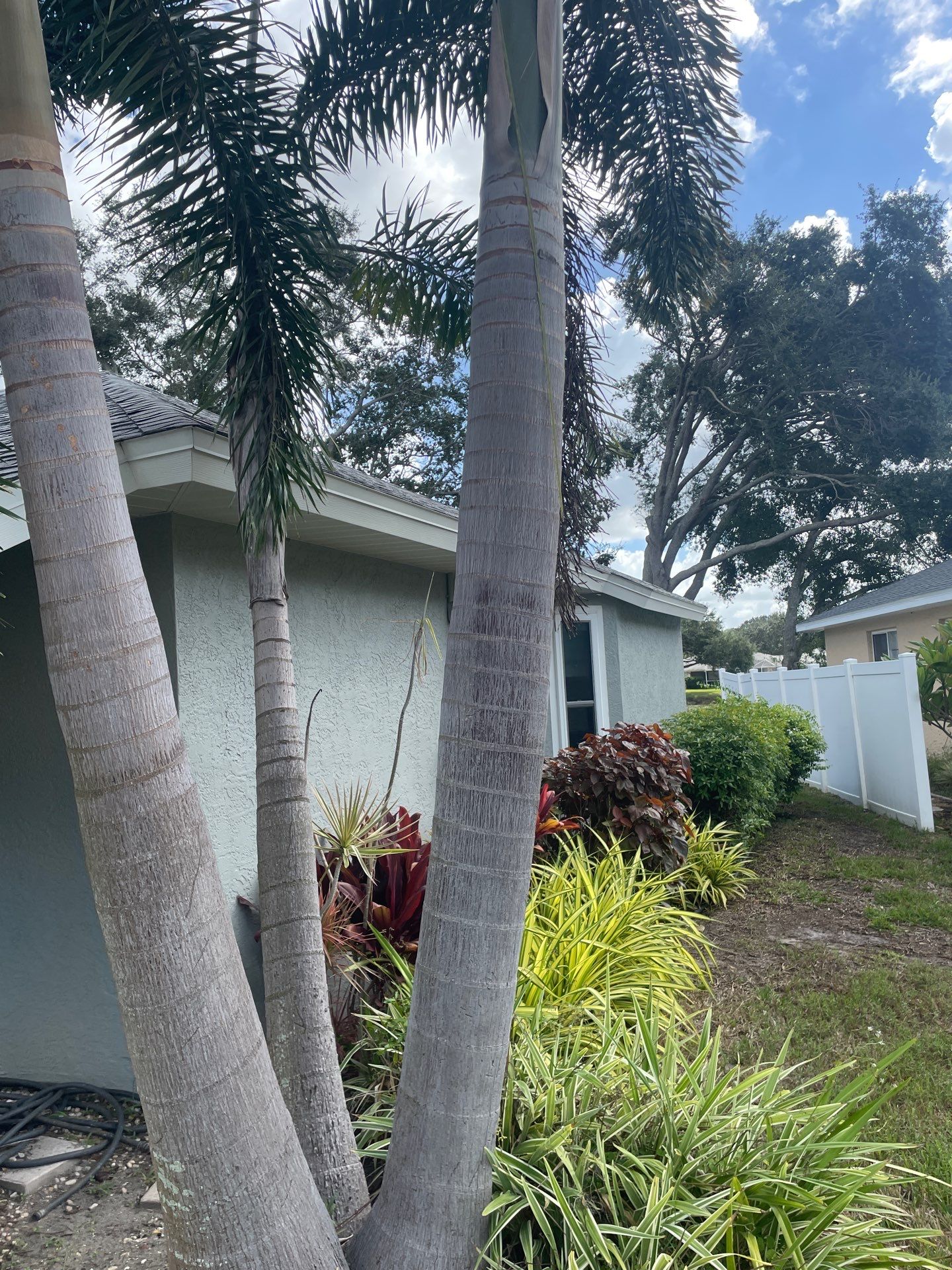 Gutter Cleaning & Maintenance in Sarasota FL by Gutter Professor by Gutter Professors