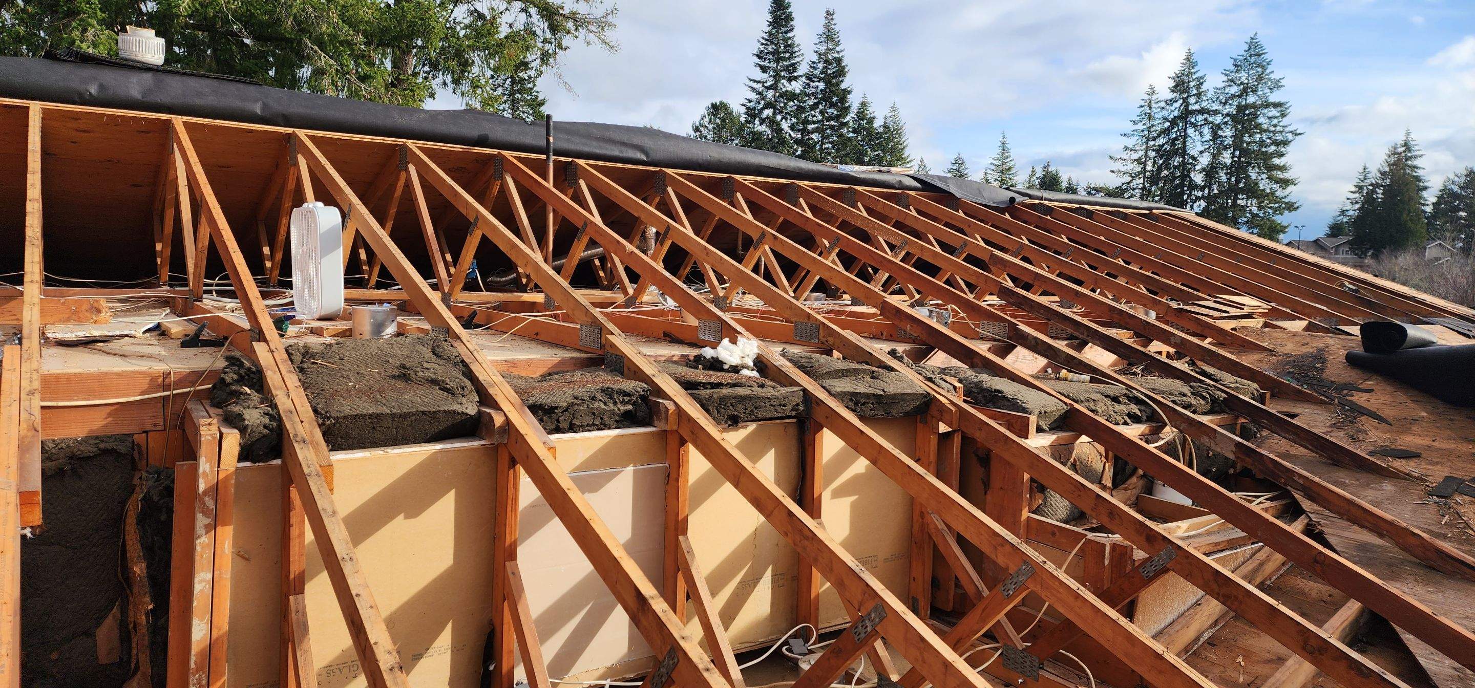 Bellevue Carl by RoofWorks Northwest