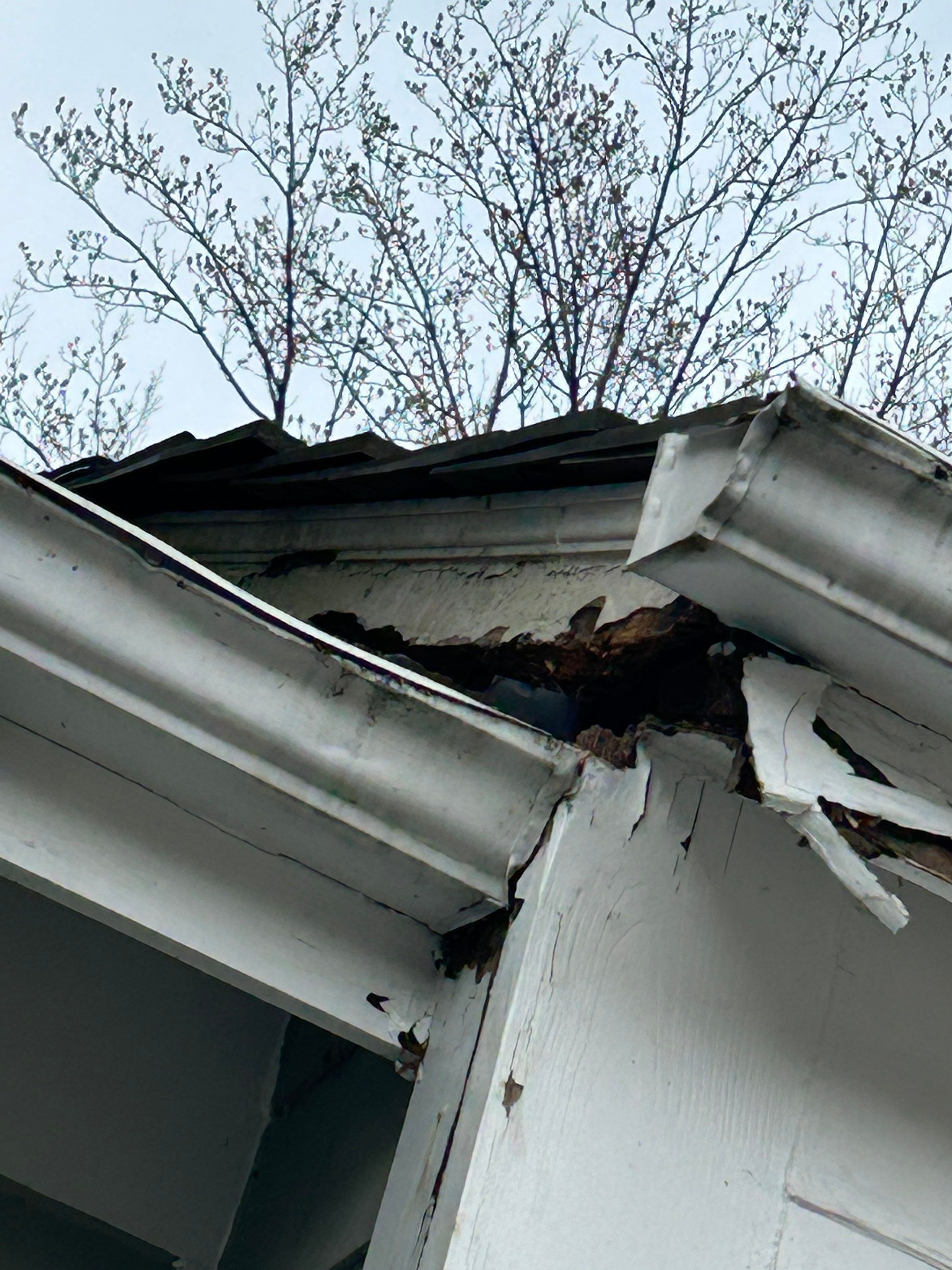 Reston :  Residential Roof Replacement with Brava Synthetic Cedar Shake Class C Natural  by RM Banning, Inc.