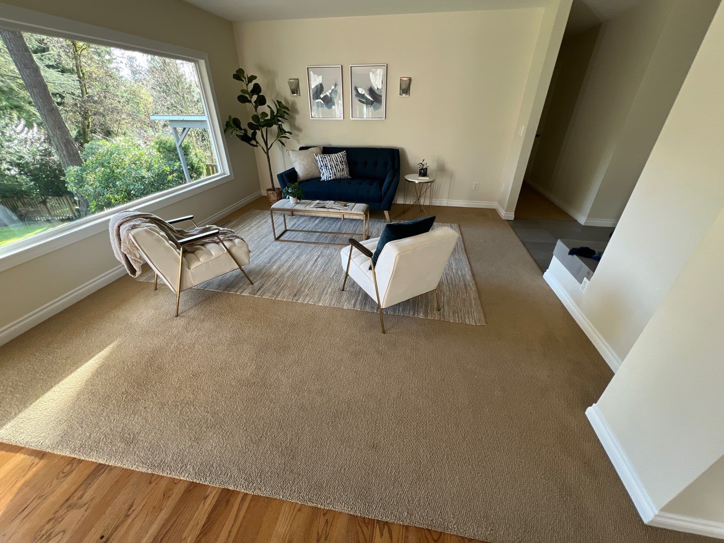 Carpet and House Cleaning Project in Lake Oswego by Cloud 9 Professional Cleaning Services