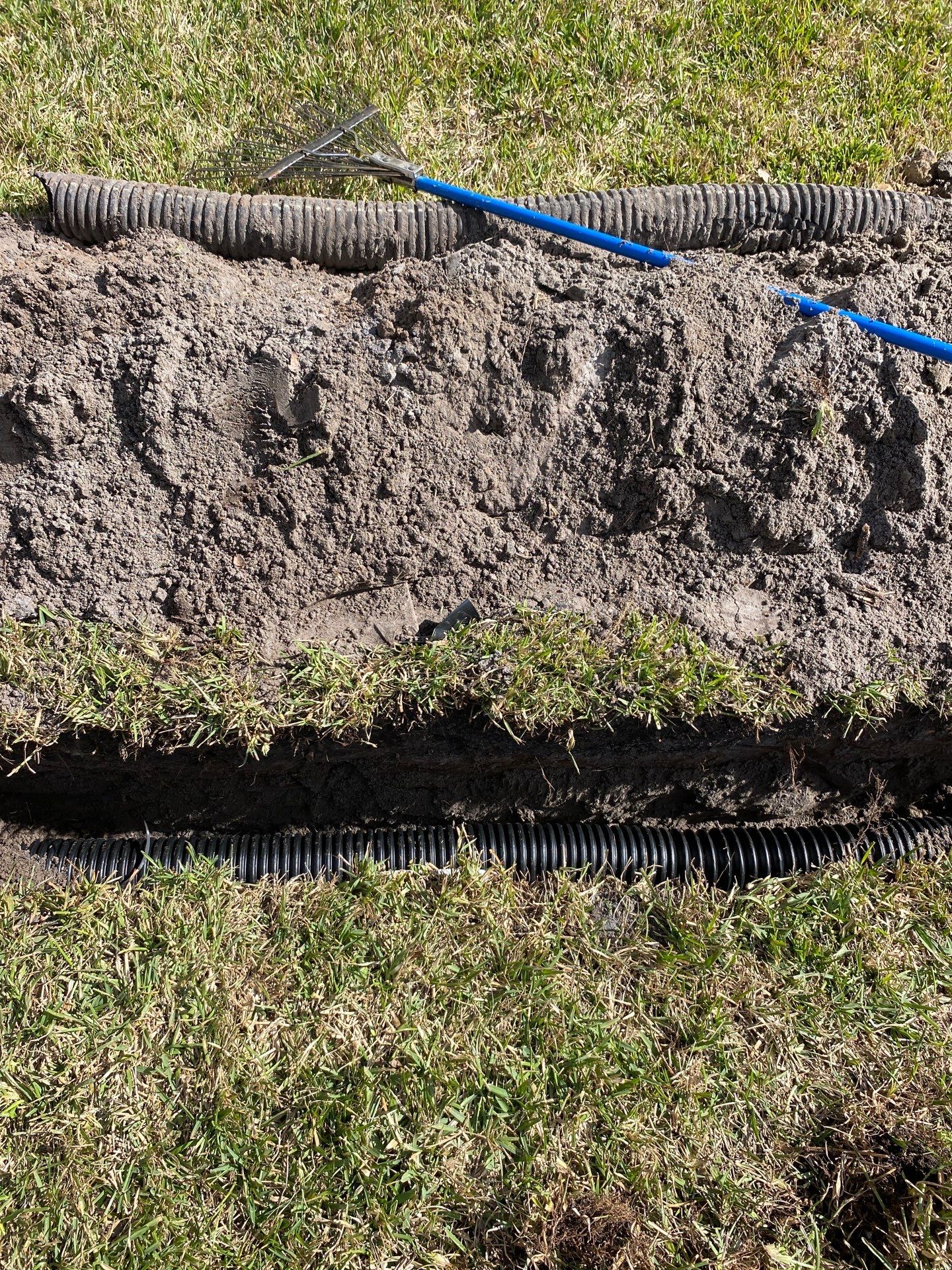 Deerwood Resident | Tree Removal & Trench by ProGreen Services