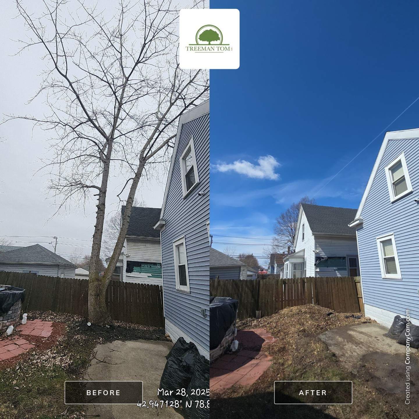 Tree Removal by Treeman Tom LLC