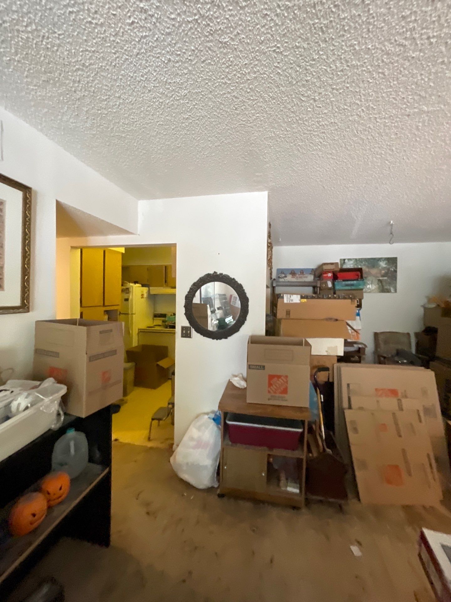 Horder house with Mold and Bacterial Contamination Issues  by Bay Coast Restoration 