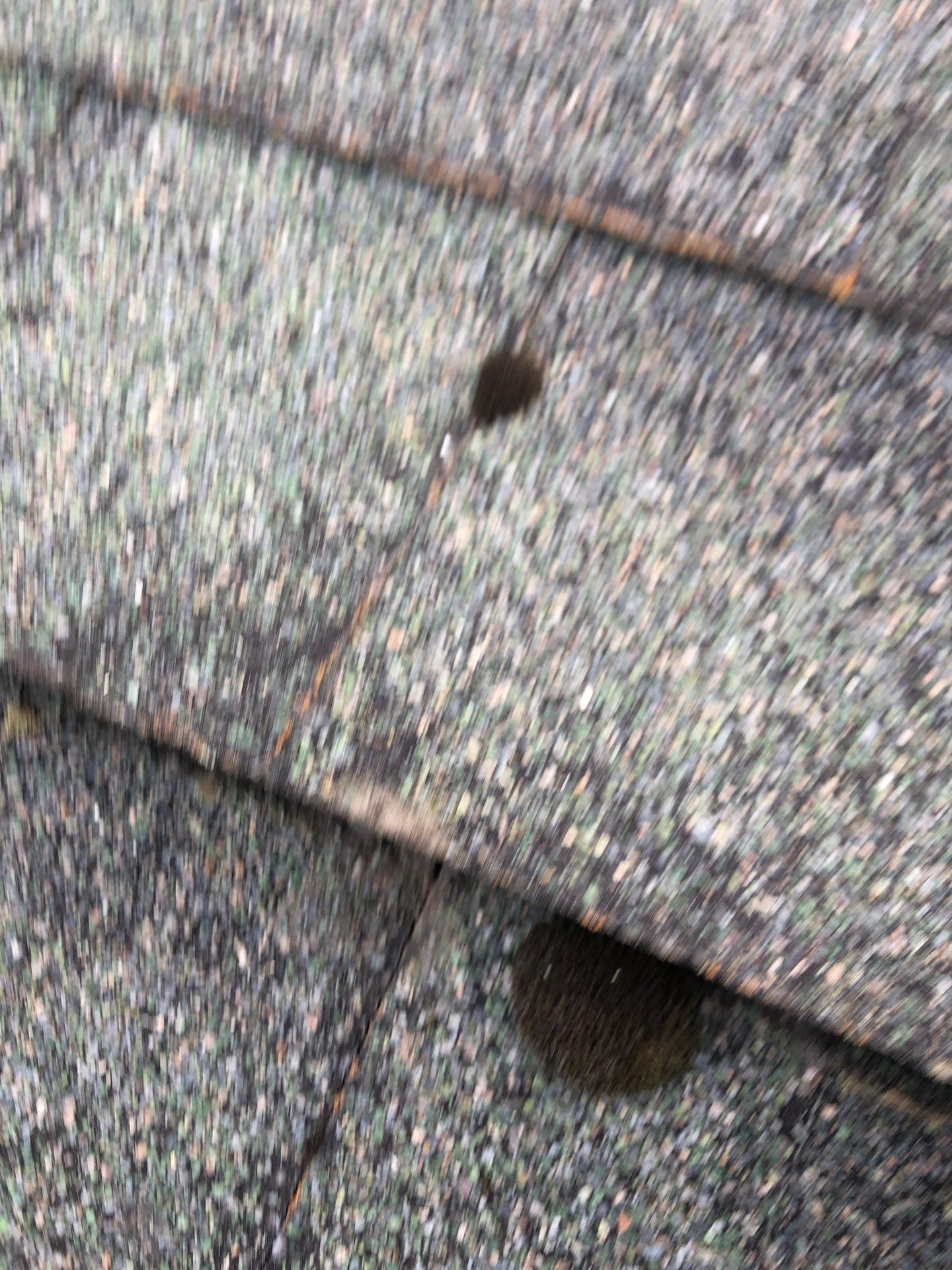 Project in Lynden by Connolly Construction Company