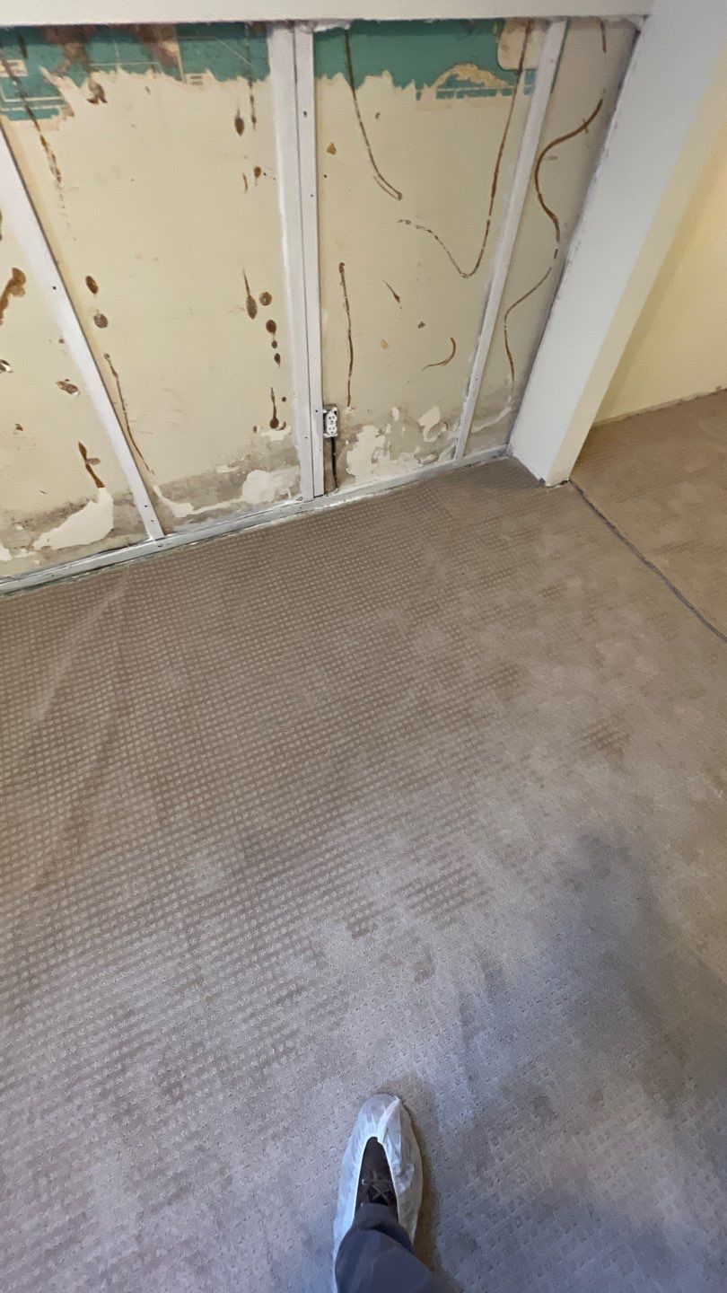 Mold Remediation by Accountable Home Services