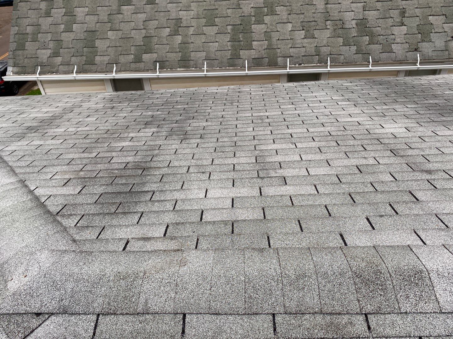 Stephanie Bouchard by Silver Leaf Contracting 