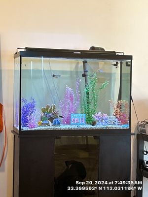 2-Day remodel, record time 