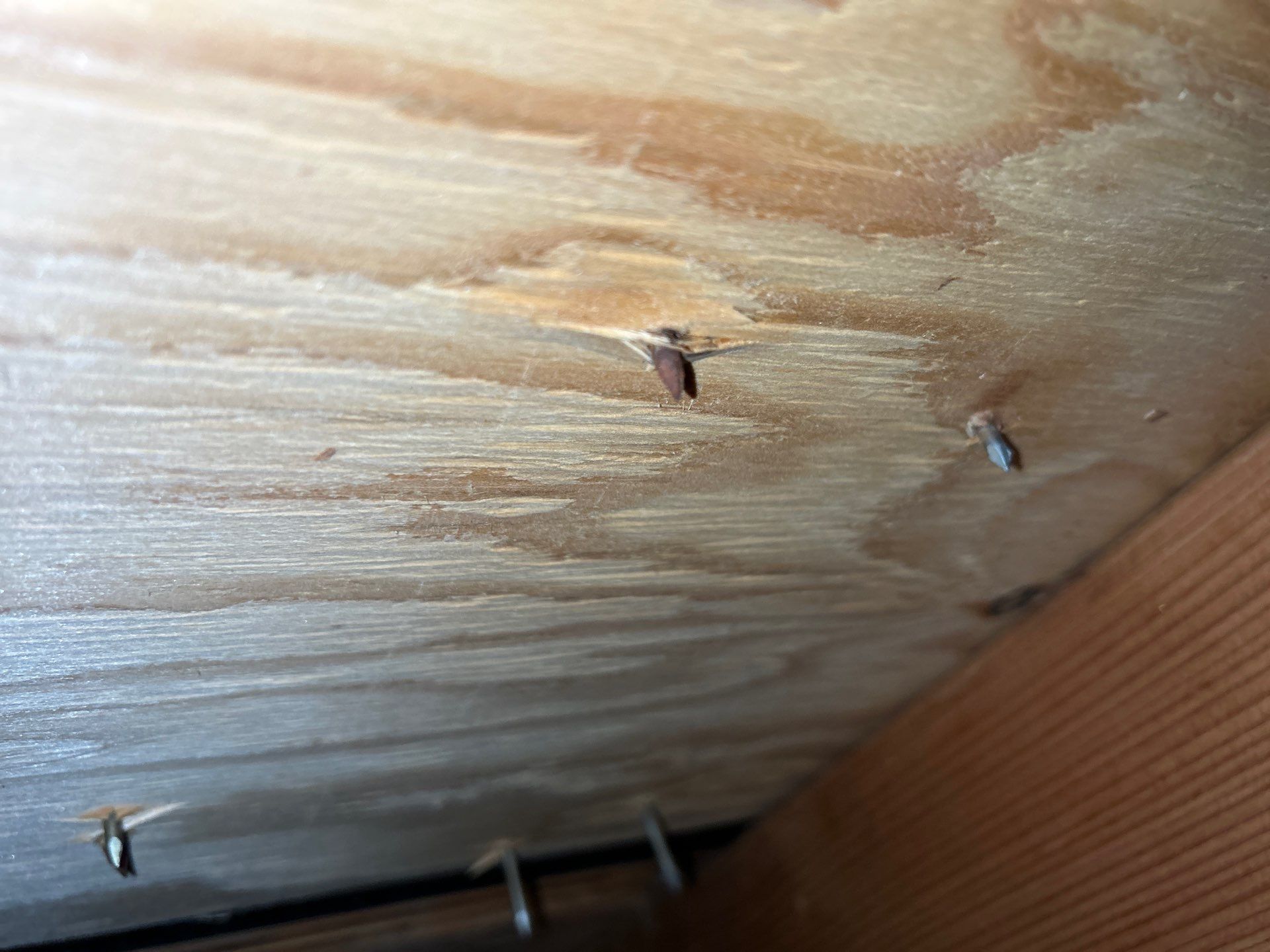 Project in Snohomish by Connolly Construction Company