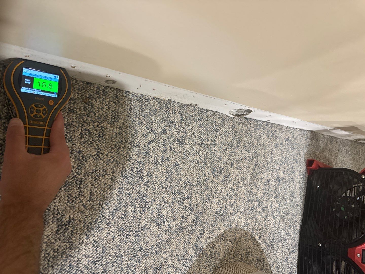 Project in Sterling Heights by EzDry Water Mitigation & Property Restoration