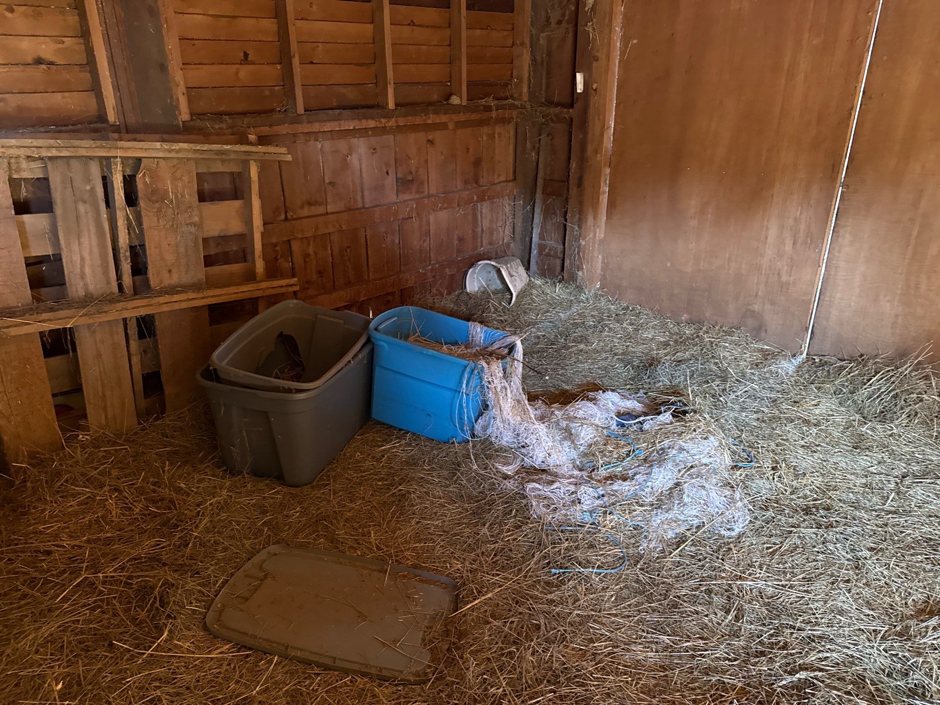 Project in Indian Trail by Badger Hauling