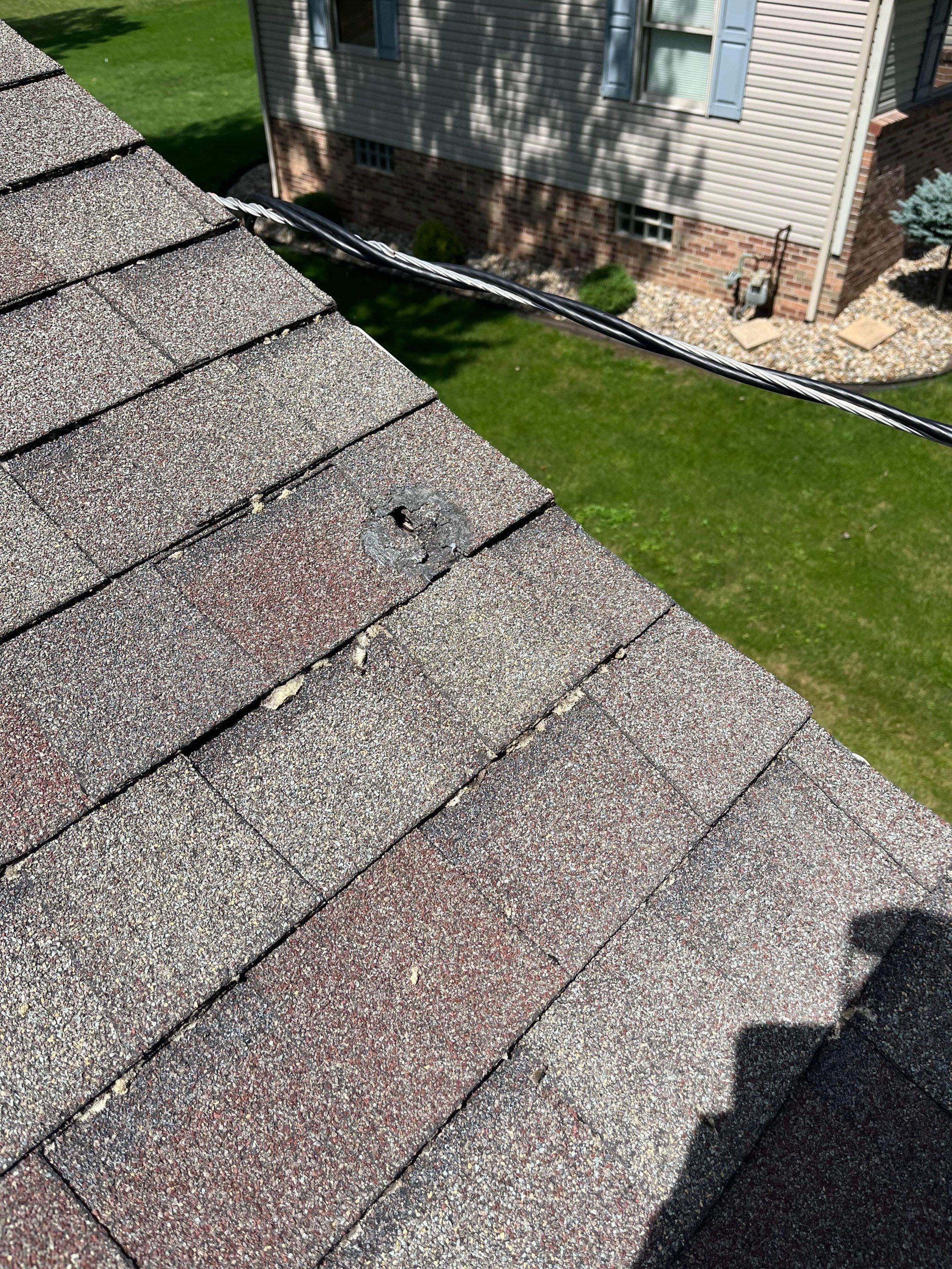 Diane Krocker by Silver Leaf Contracting 