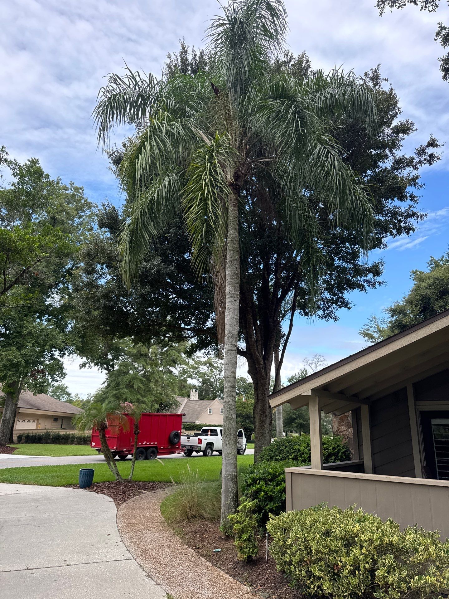 Deerwood Resident | Tree Removal by ProGreen Services